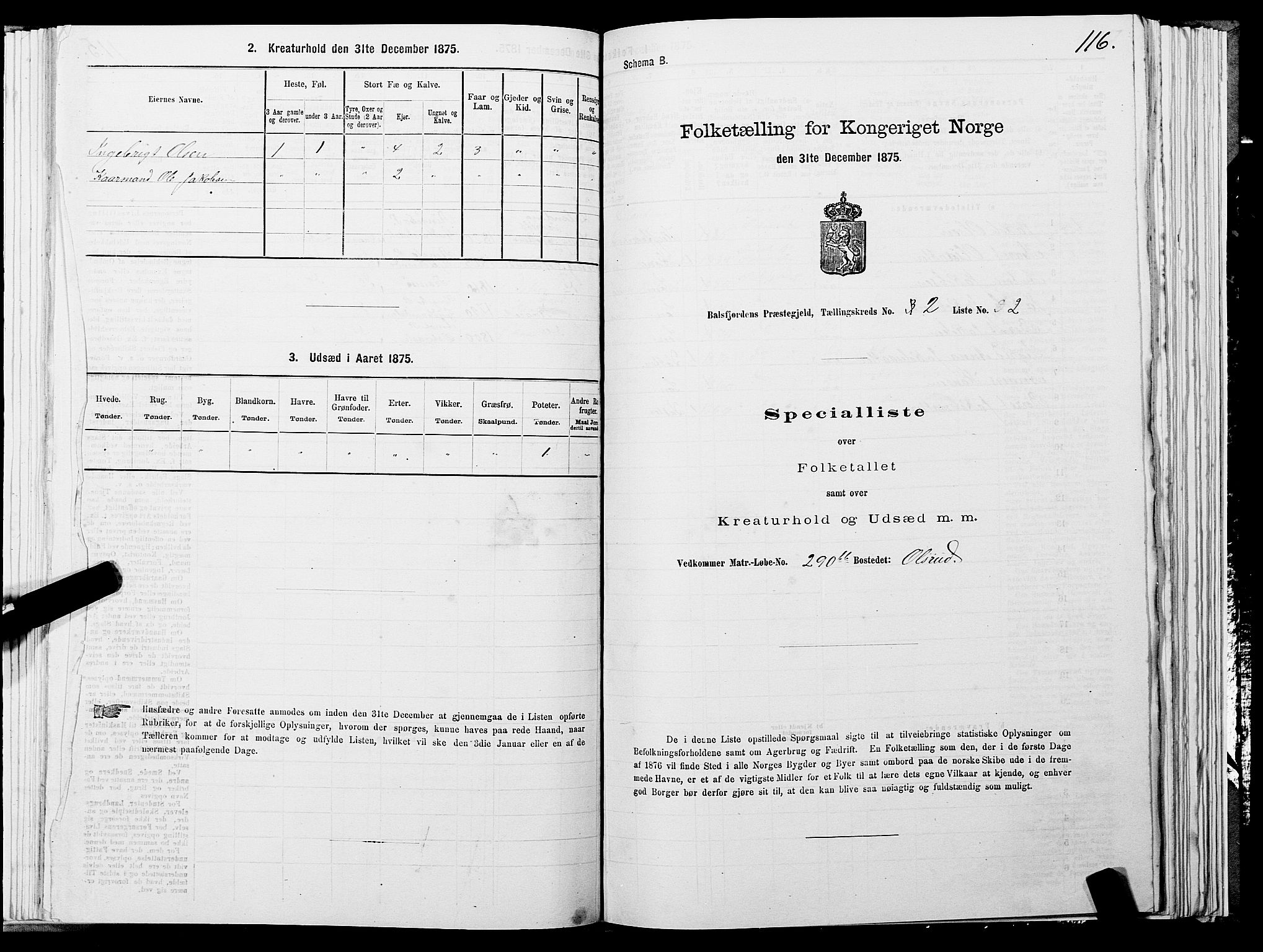 SATØ, 1875 census for 1933P Balsfjord, 1875, p. 1116