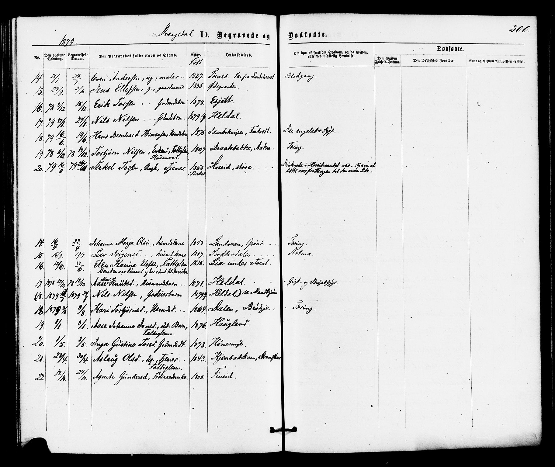 Drangedal kirkebøker, AV/SAKO-A-258/F/Fa/L0009: Parish register (official) no. 9 /1, 1872-1884, p. 300