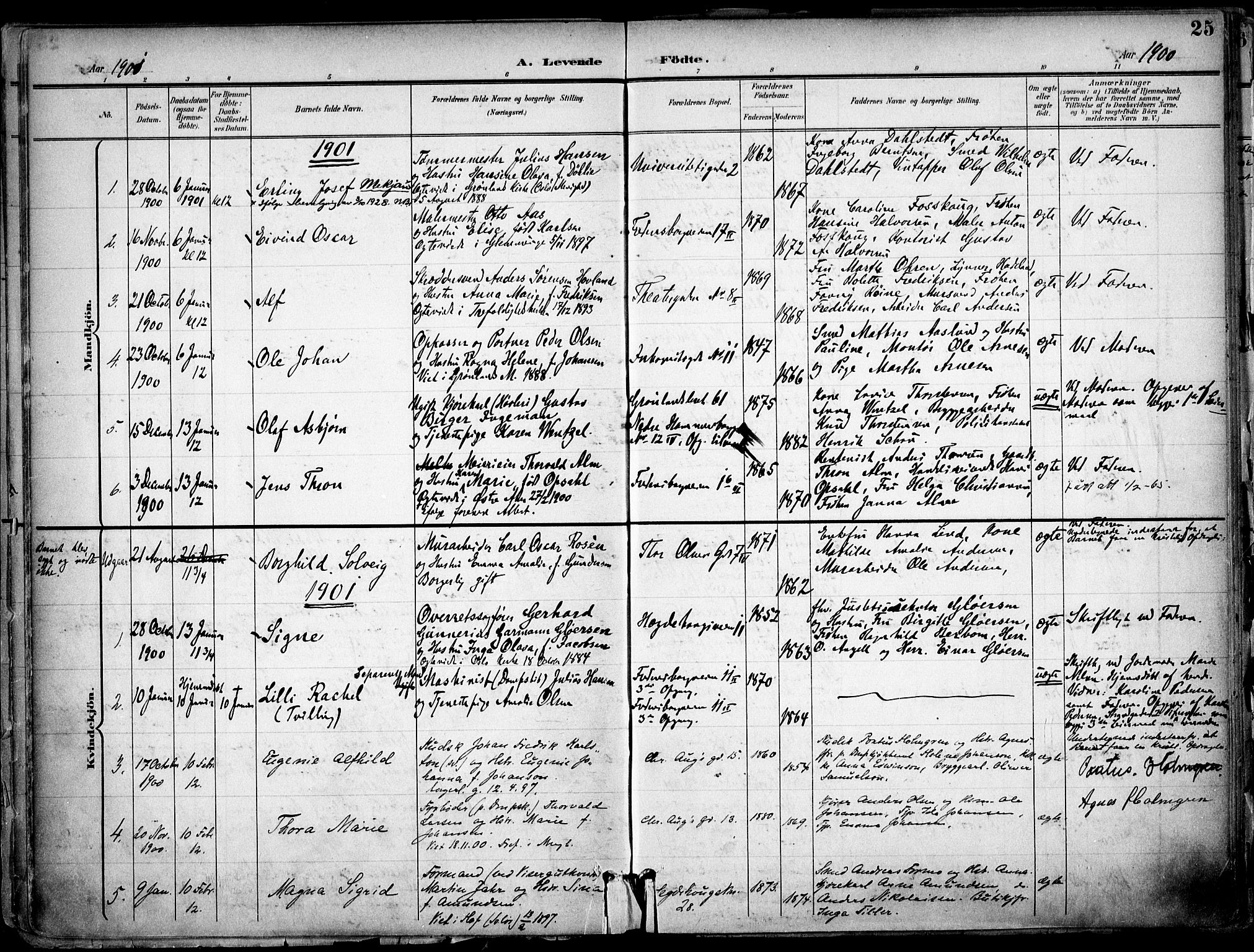 Trefoldighet prestekontor Kirkebøker, AV/SAO-A-10882/F/Fa/L0007: Parish register (official) no. I 7, 1900-1914, p. 25