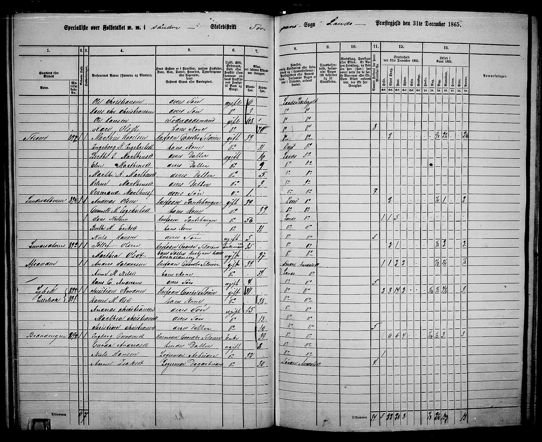 RA, 1865 census for Land, 1865, p. 99