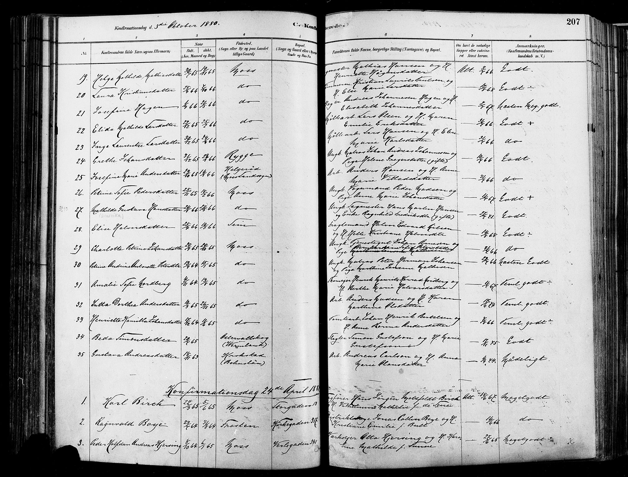 Moss prestekontor Kirkebøker, SAO/A-2003/F/Fb/L0001: Parish register (official) no. II 1, 1878-1886, p. 207