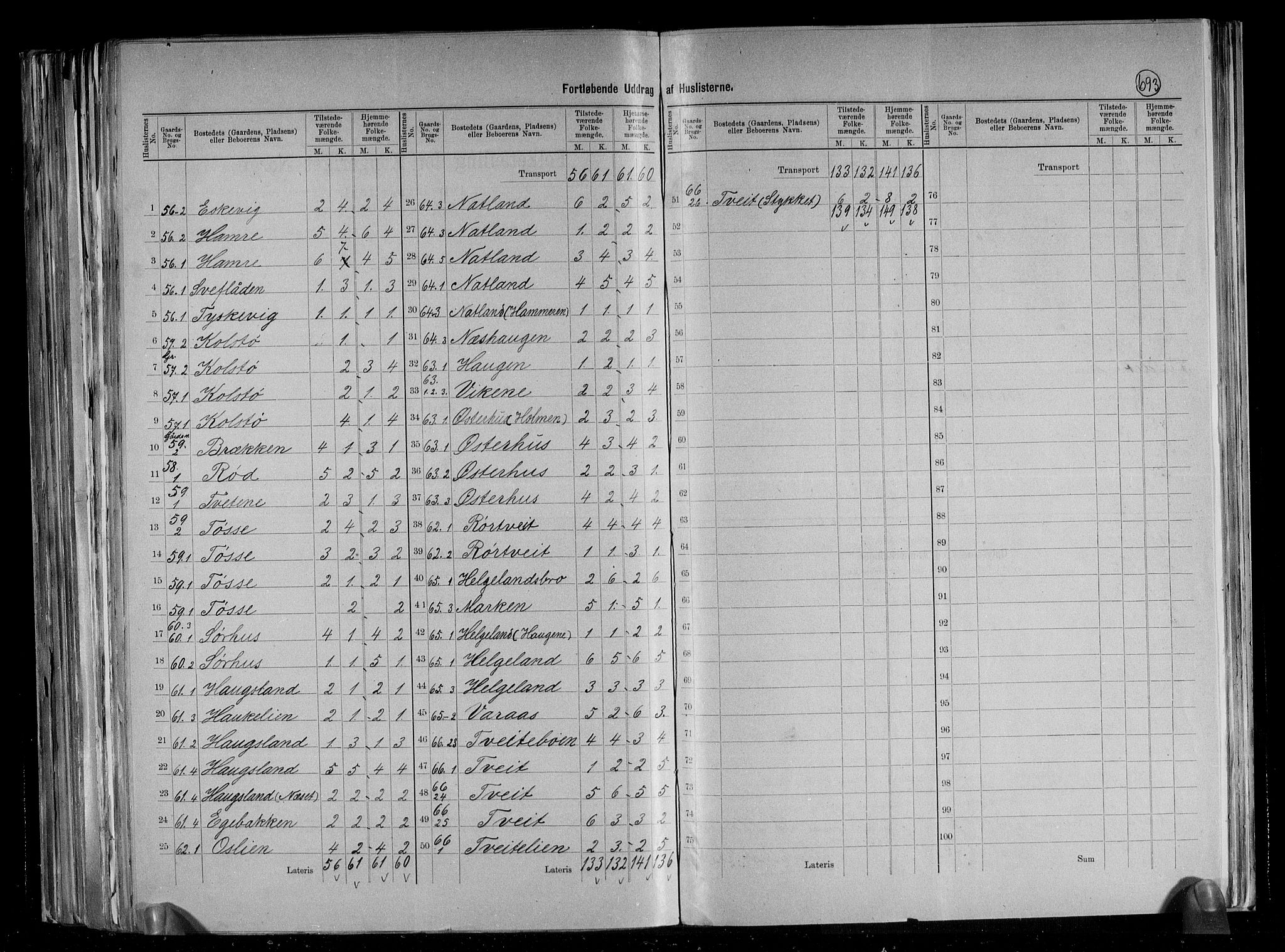 RA, 1891 census for 1138 Jelsa, 1891, p. 25