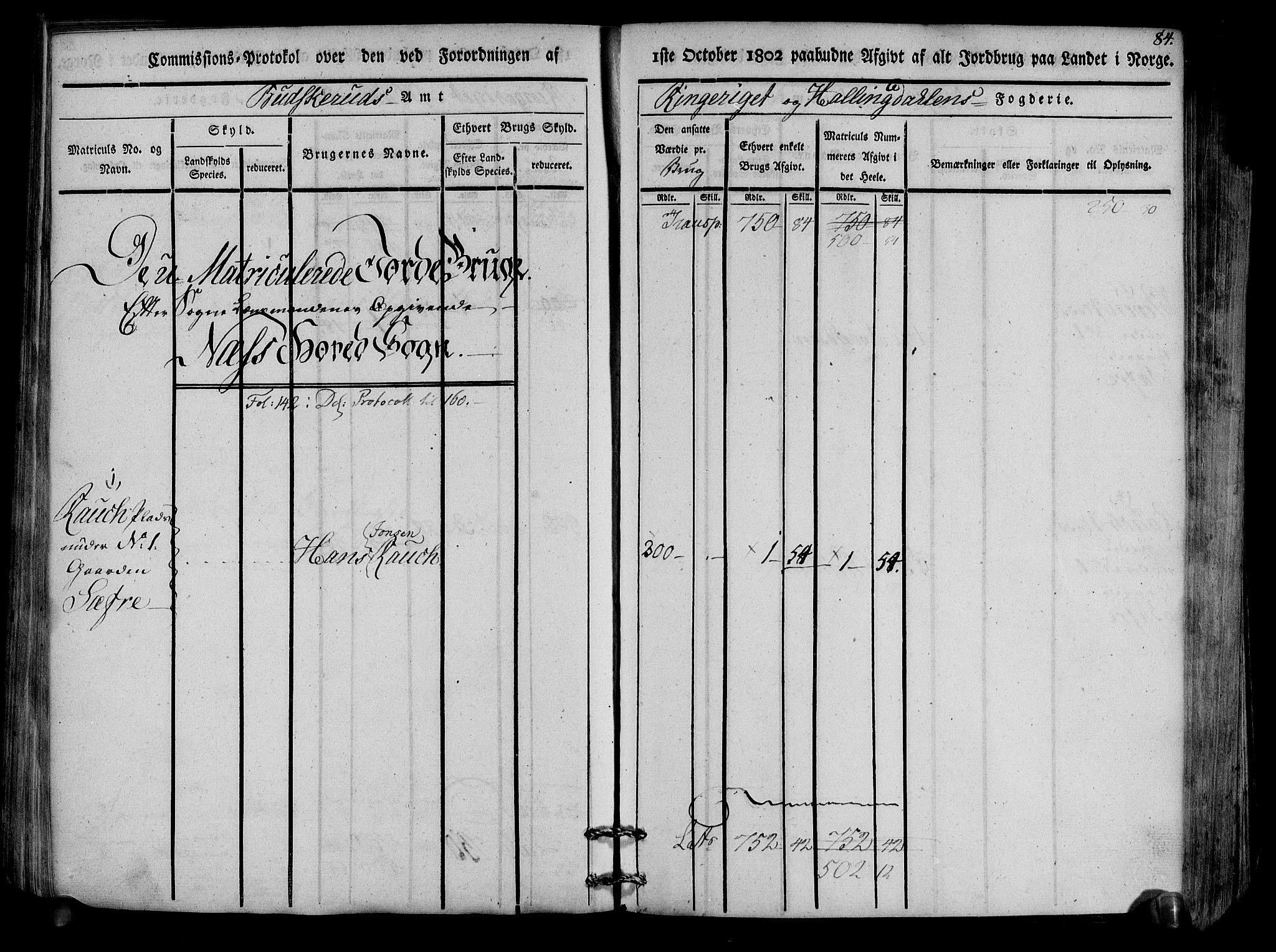 Rentekammeret inntil 1814, Realistisk ordnet avdeling, RA/EA-4070/N/Ne/Nea/L0047: Ringerike og Hallingdal fogderi. Kommisjonsprotokoll for Nes prestegjeld, 1803, p. 87