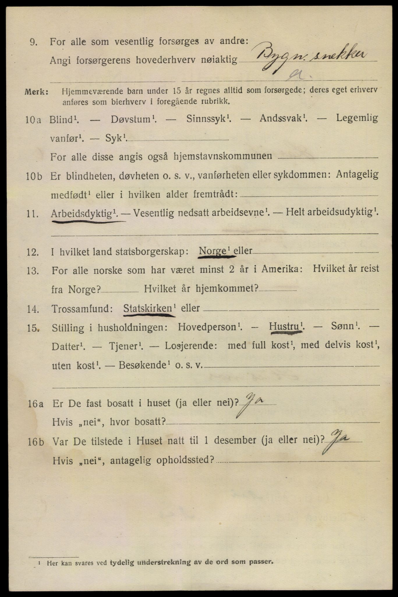 SAKO, 1920 census for Larvik, 1920, p. 20671