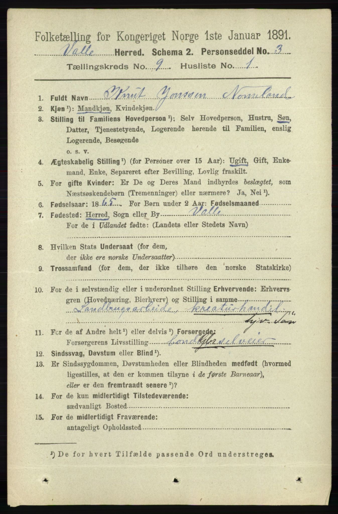 RA, 1891 census for 0940 Valle, 1891, p. 2446