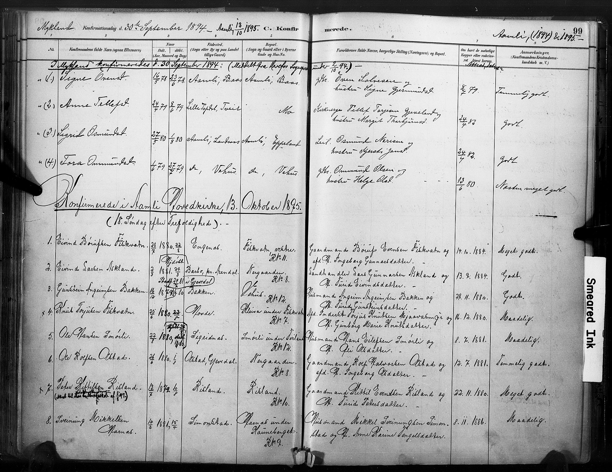 Åmli sokneprestkontor, SAK/1111-0050/F/Fa/Fac/L0010: Parish register (official) no. A 10 /1, 1885-1899, p. 99