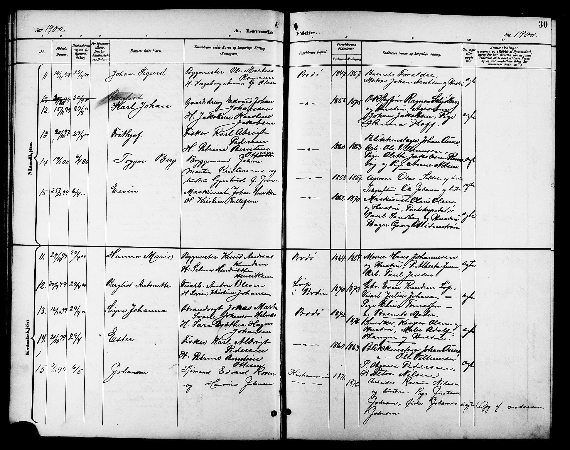 Ministerialprotokoller, klokkerbøker og fødselsregistre - Nordland, AV/SAT-A-1459/801/L0033: Parish register (copy) no. 801C08, 1898-1910, p. 30