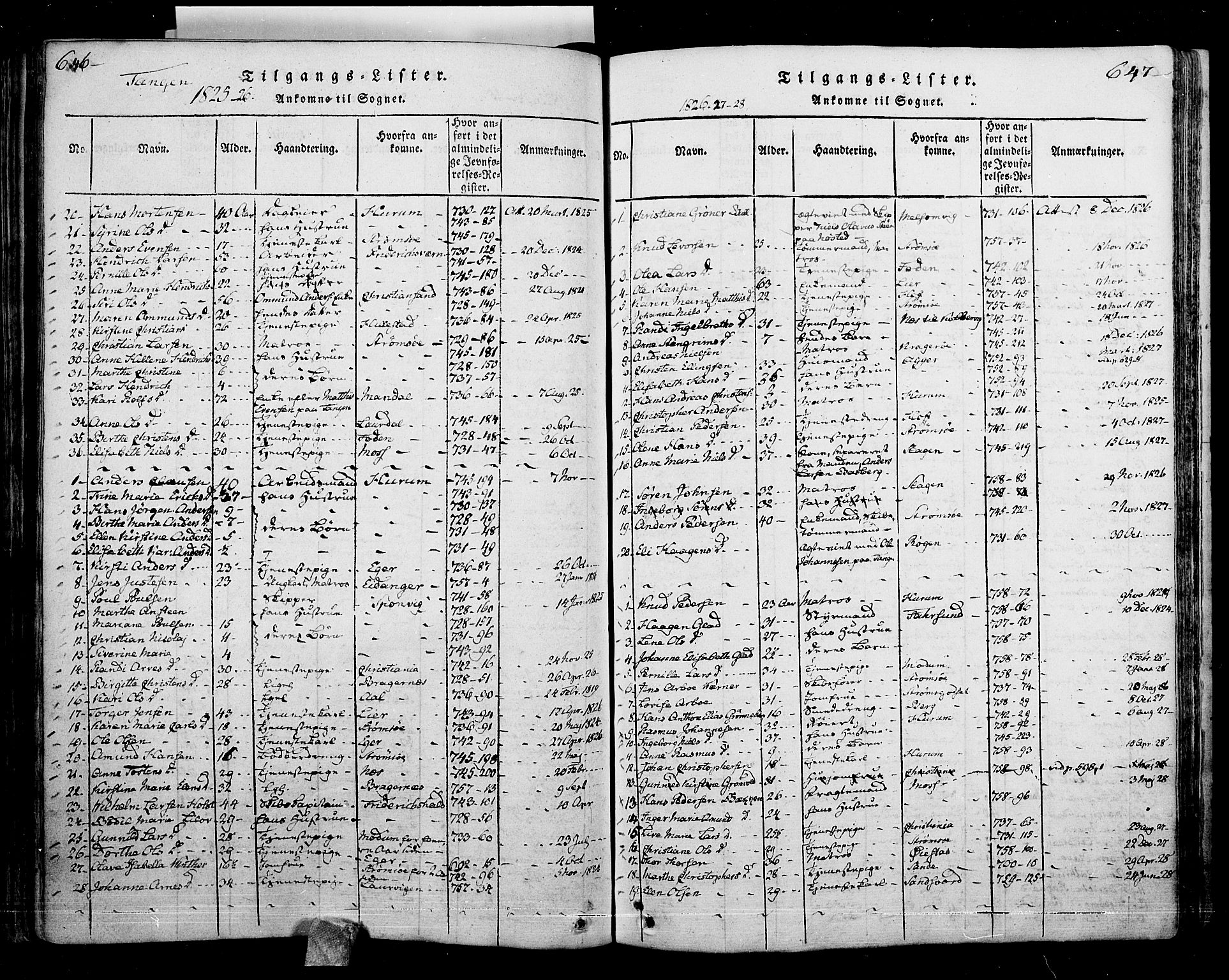 Skoger kirkebøker, AV/SAKO-A-59/F/Fa/L0002: Parish register (official) no. I 2 /2, 1814-1842, p. 646-647