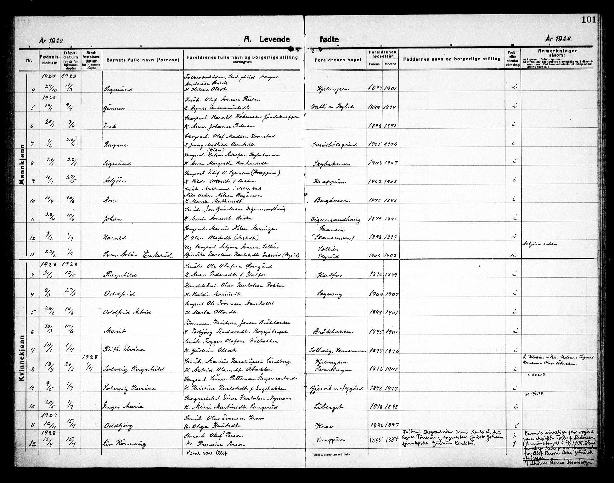 Åsnes prestekontor, AV/SAH-PREST-042/H/Ha/Haa/L0000D: Parish register (official) no. 0B, 1890-1929, p. 101