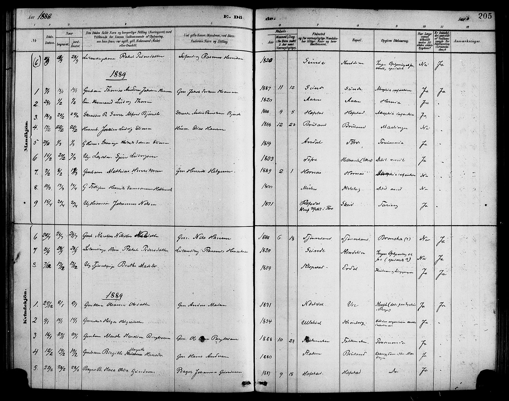 Førde sokneprestembete, SAB/A-79901/H/Haa/Haab/L0001: Parish register (official) no. B 1, 1880-1898, p. 205