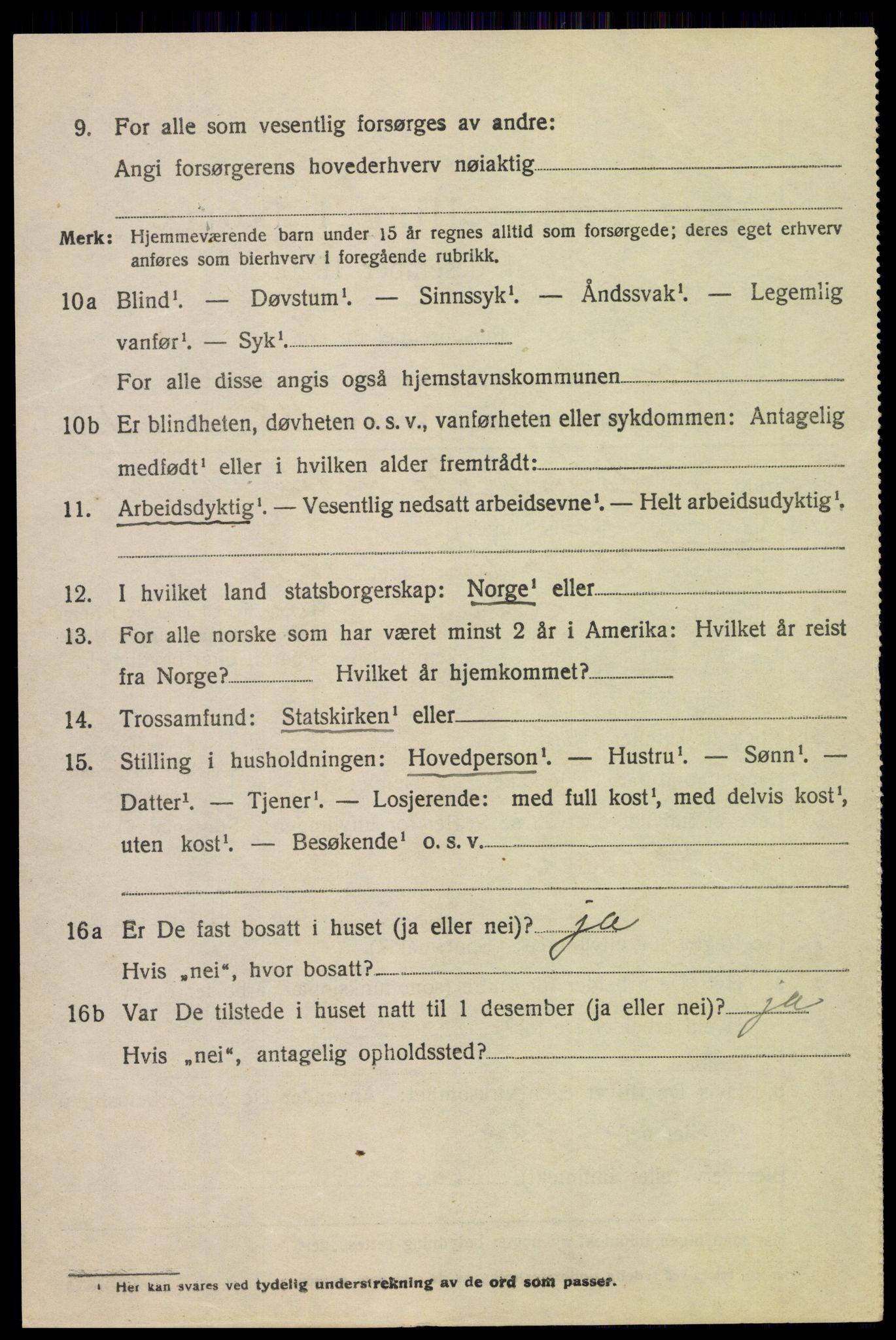 SAH, 1920 census for Lom, 1920, p. 3149