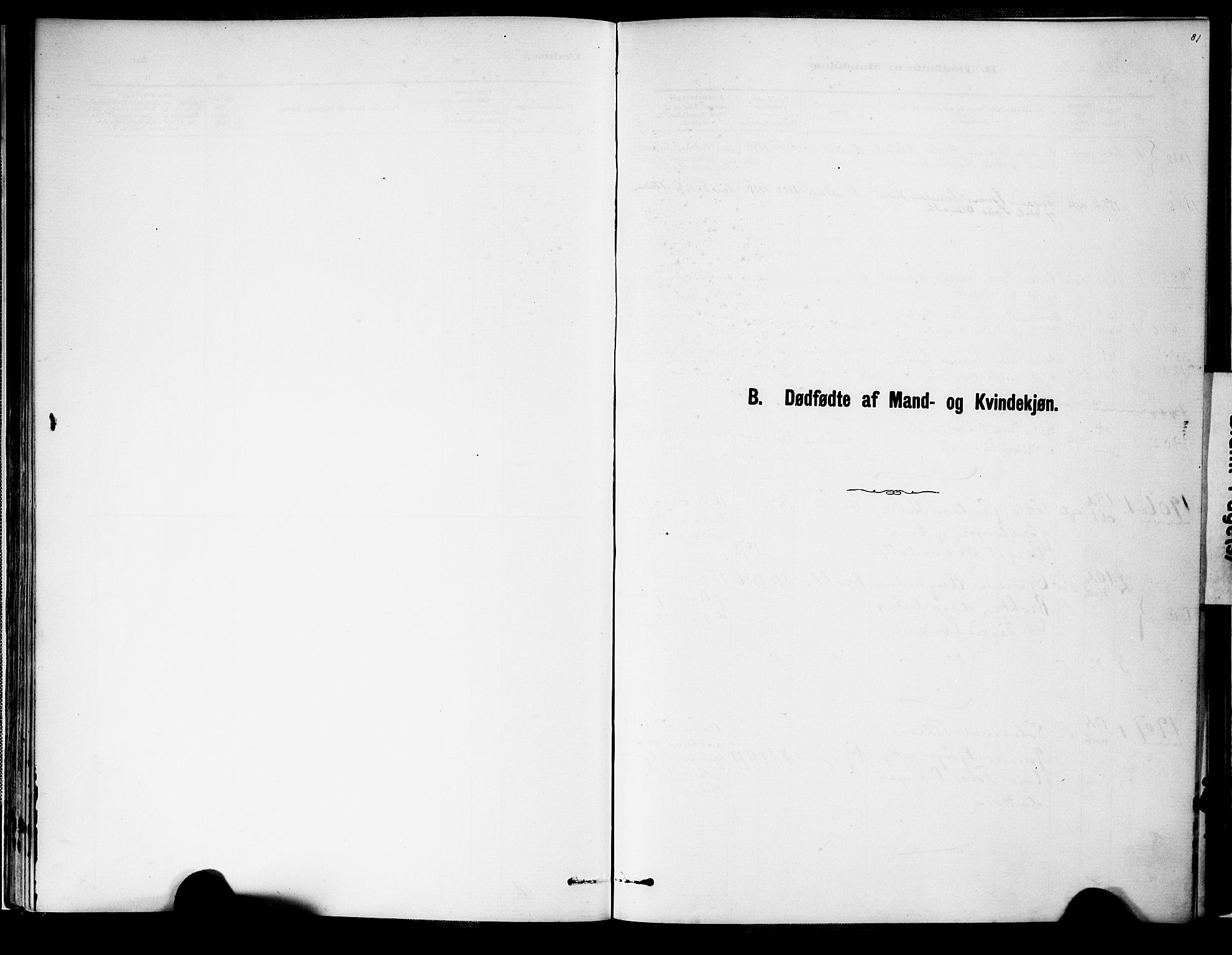 Valle sokneprestkontor, SAK/1111-0044/F/Fa/Fab/L0001: Parish register (official) no. A 1, 1882-1910, p. 81