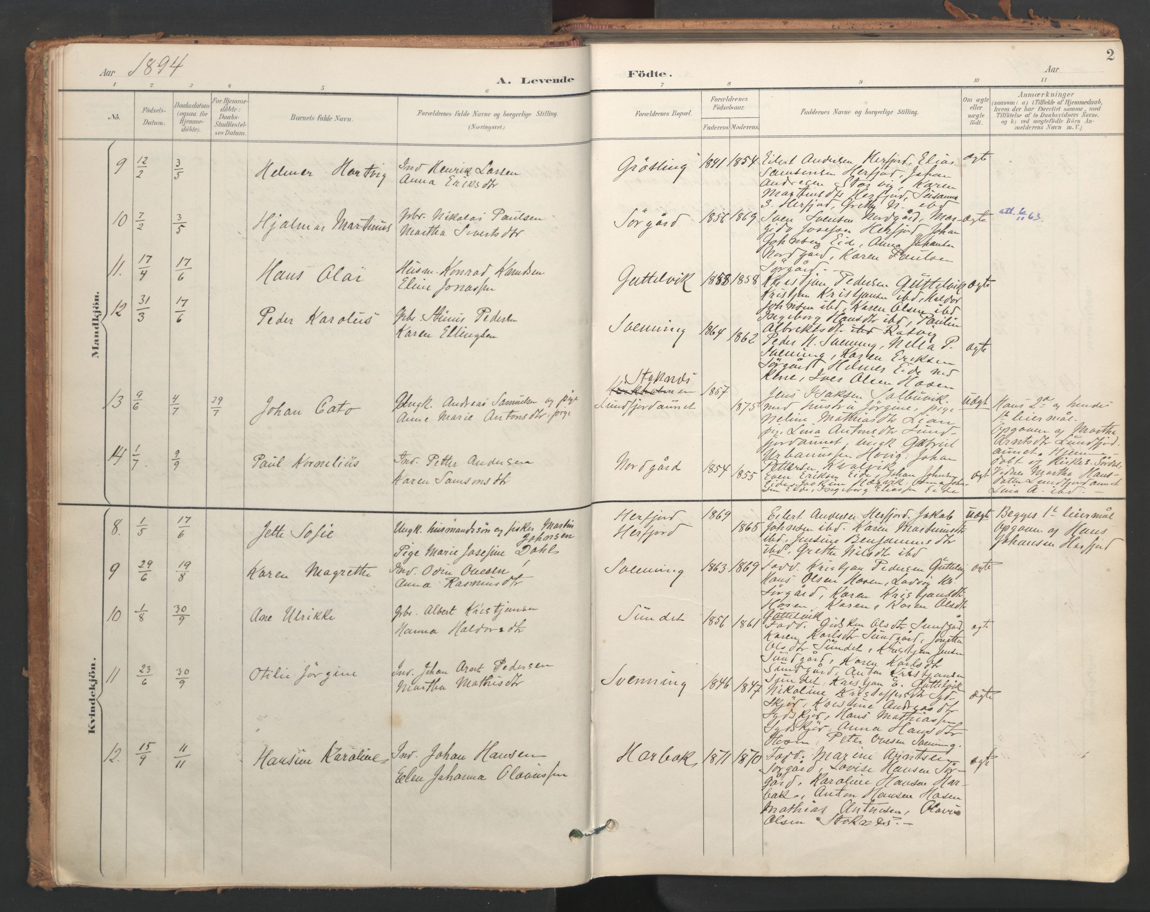 Ministerialprotokoller, klokkerbøker og fødselsregistre - Sør-Trøndelag, SAT/A-1456/656/L0693: Parish register (official) no. 656A02, 1894-1913, p. 2