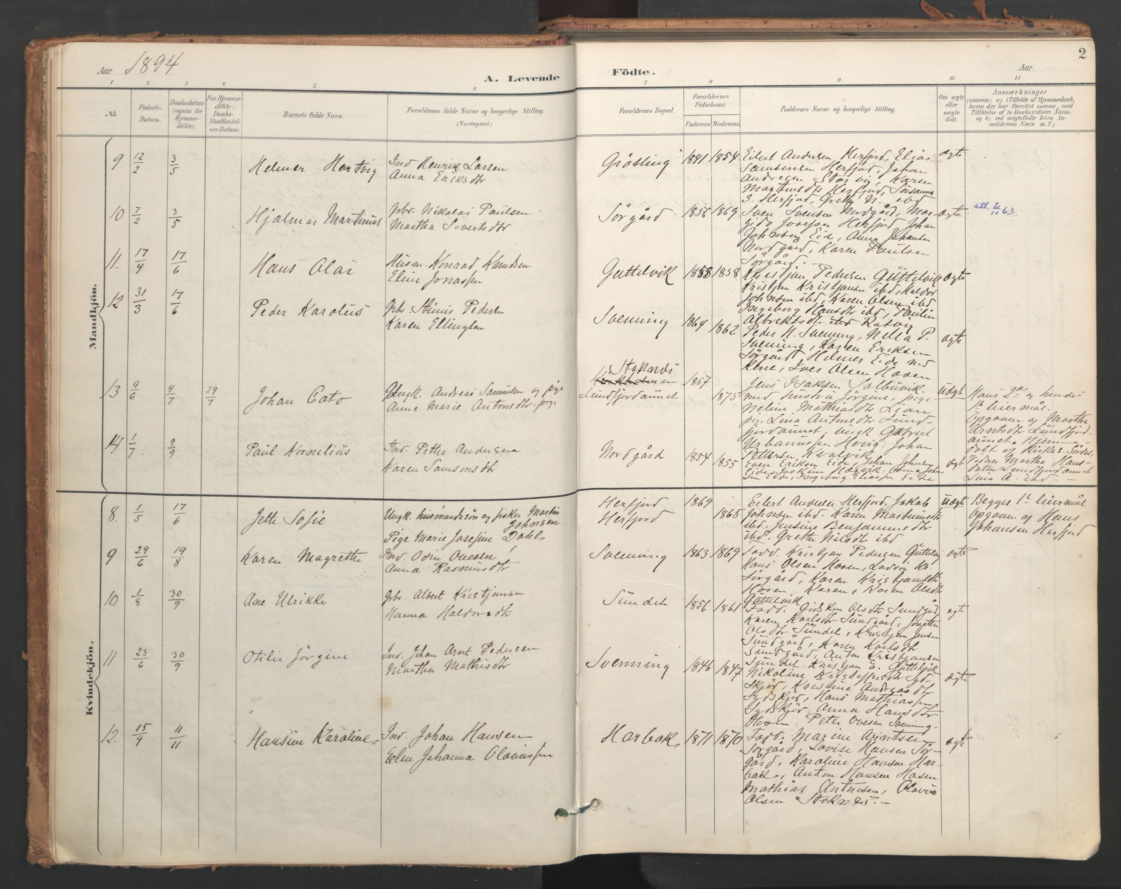 Ministerialprotokoller, klokkerbøker og fødselsregistre - Sør-Trøndelag, AV/SAT-A-1456/656/L0693: Parish register (official) no. 656A02, 1894-1913, p. 2