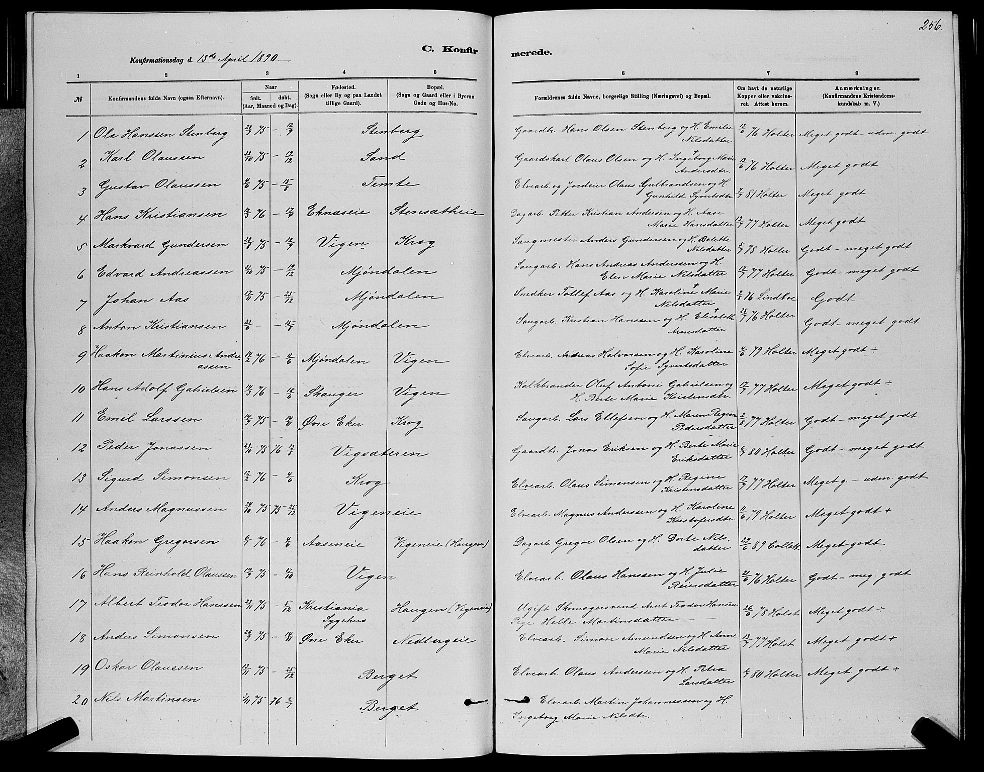 Nedre Eiker kirkebøker, AV/SAKO-A-612/G/Ga/L0002: Parish register (copy) no. 2, 1880-1896, p. 256