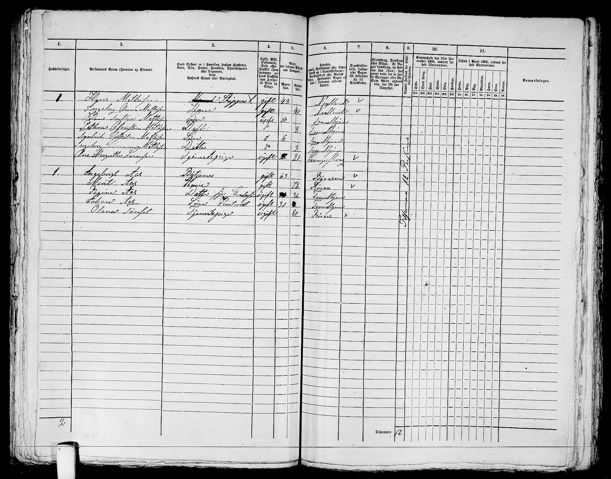 RA, 1865 census for Trondheim, 1865, p. 1320