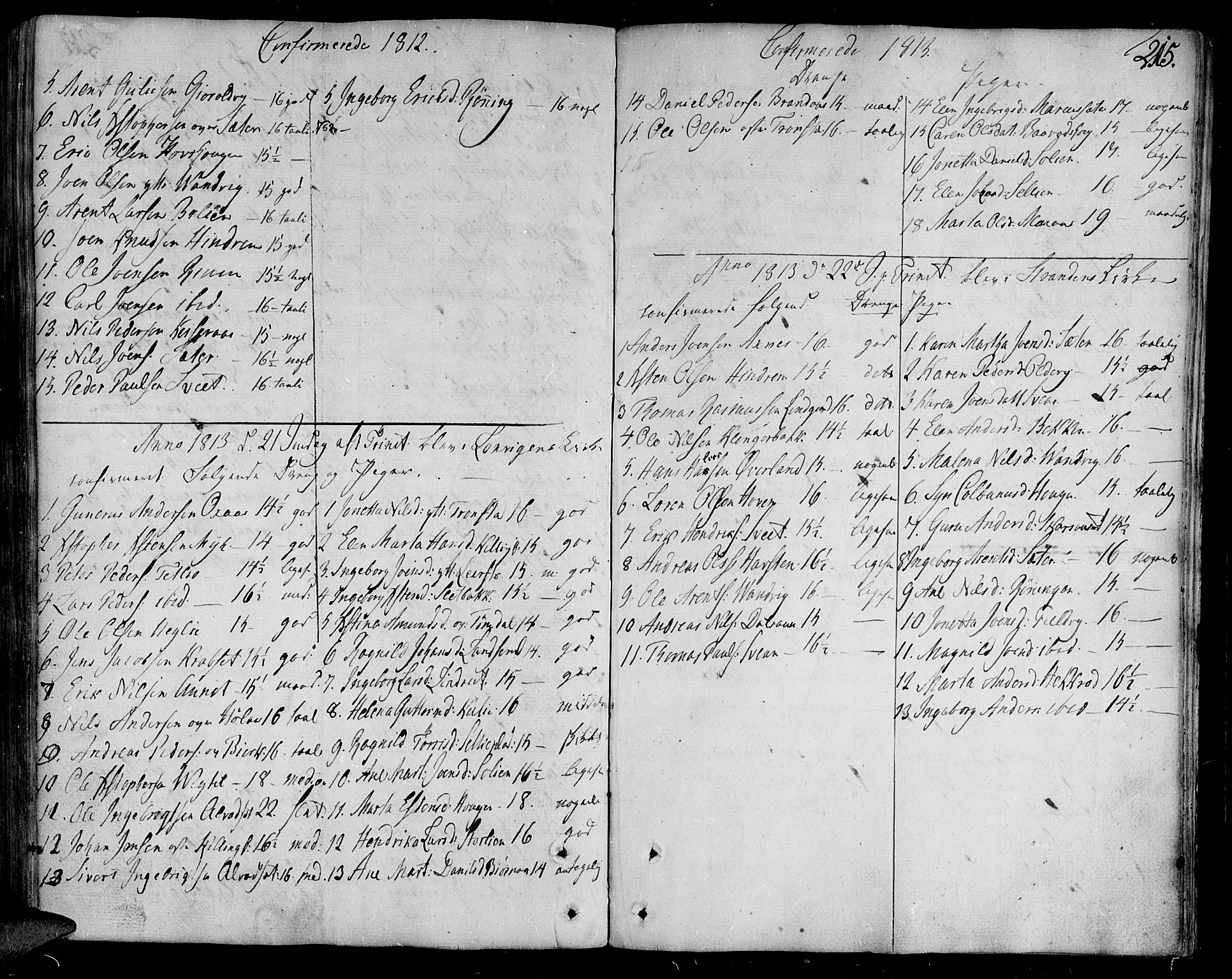 Ministerialprotokoller, klokkerbøker og fødselsregistre - Nord-Trøndelag, SAT/A-1458/701/L0004: Parish register (official) no. 701A04, 1783-1816, p. 215