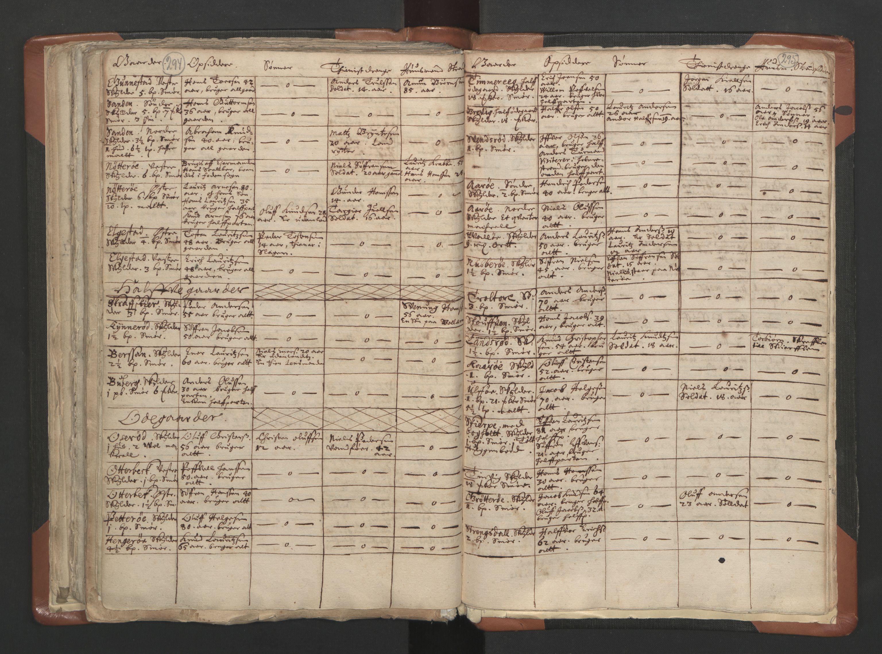 RA, Vicar's Census 1664-1666, no. 10: Tønsberg deanery, 1664-1666, p. 294-295