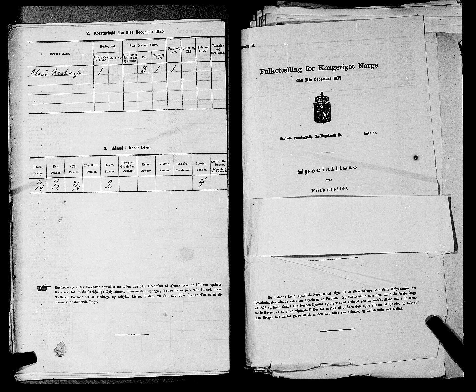 SAKO, 1875 census for 0713P Sande, 1875, p. 1016