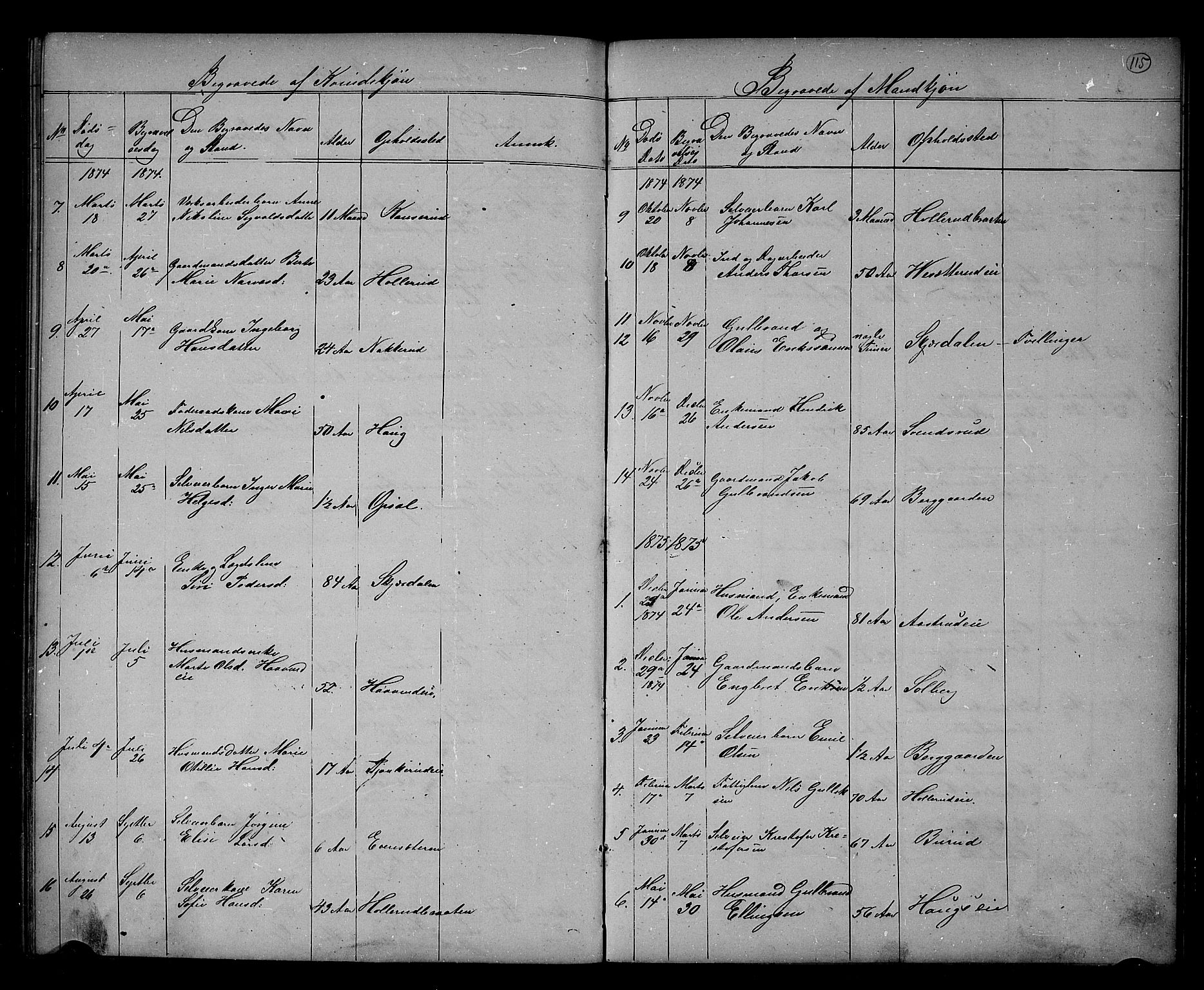 Hole kirkebøker, SAKO/A-228/G/Gb/L0001: Parish register (copy) no. II 1, 1859-1878, p. 115