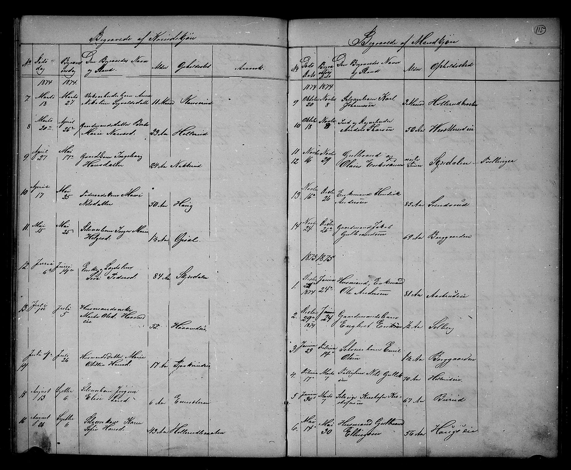 Hole kirkebøker, AV/SAKO-A-228/G/Gb/L0001: Parish register (copy) no. II 1, 1859-1878, p. 115