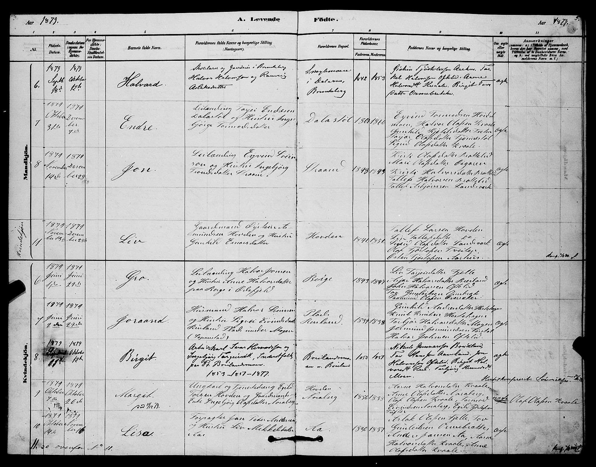 Lårdal kirkebøker, SAKO/A-284/G/Gc/L0003: Parish register (copy) no. III 3, 1878-1890, p. 5