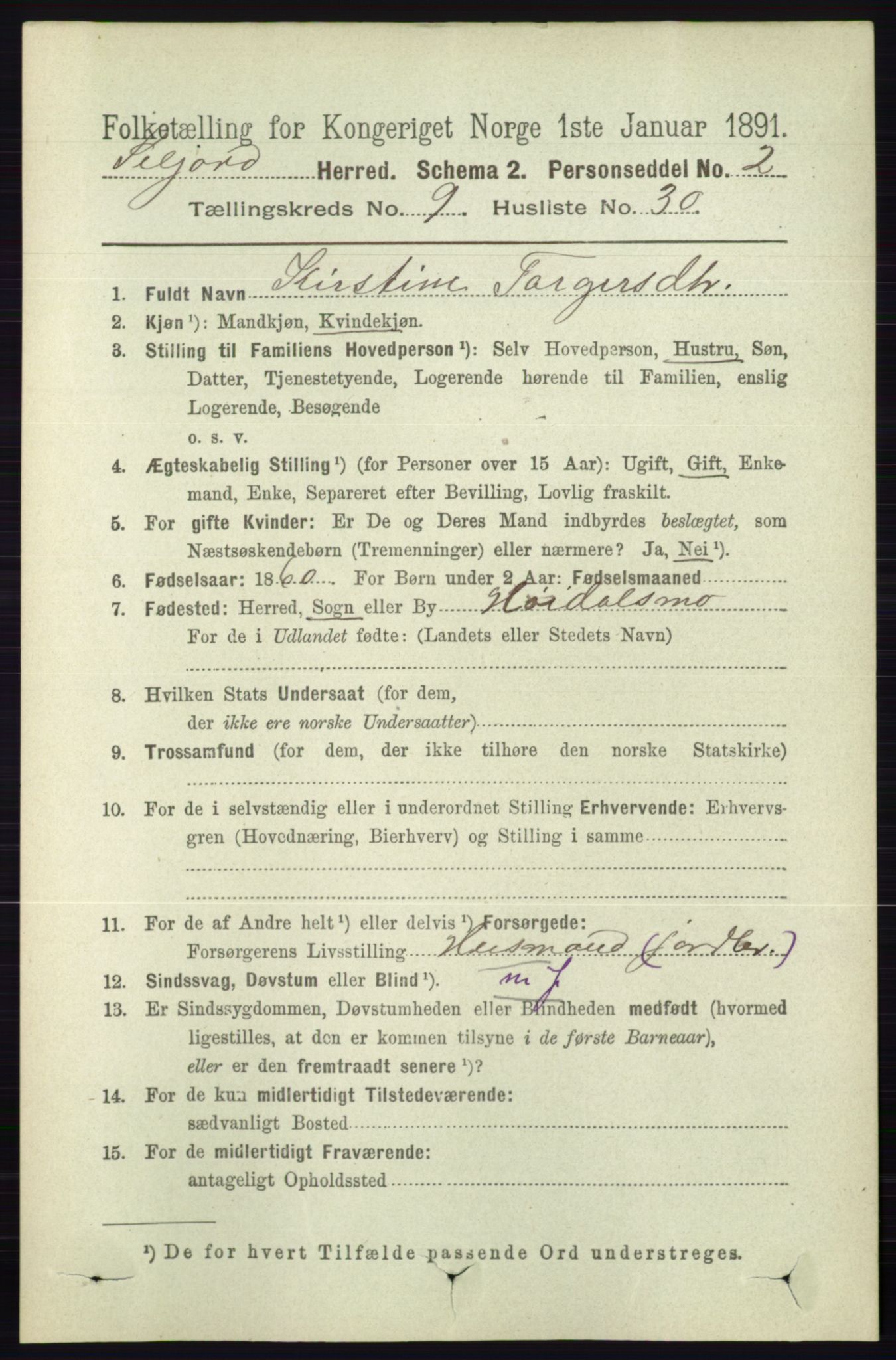RA, 1891 census for 0828 Seljord, 1891, p. 3331