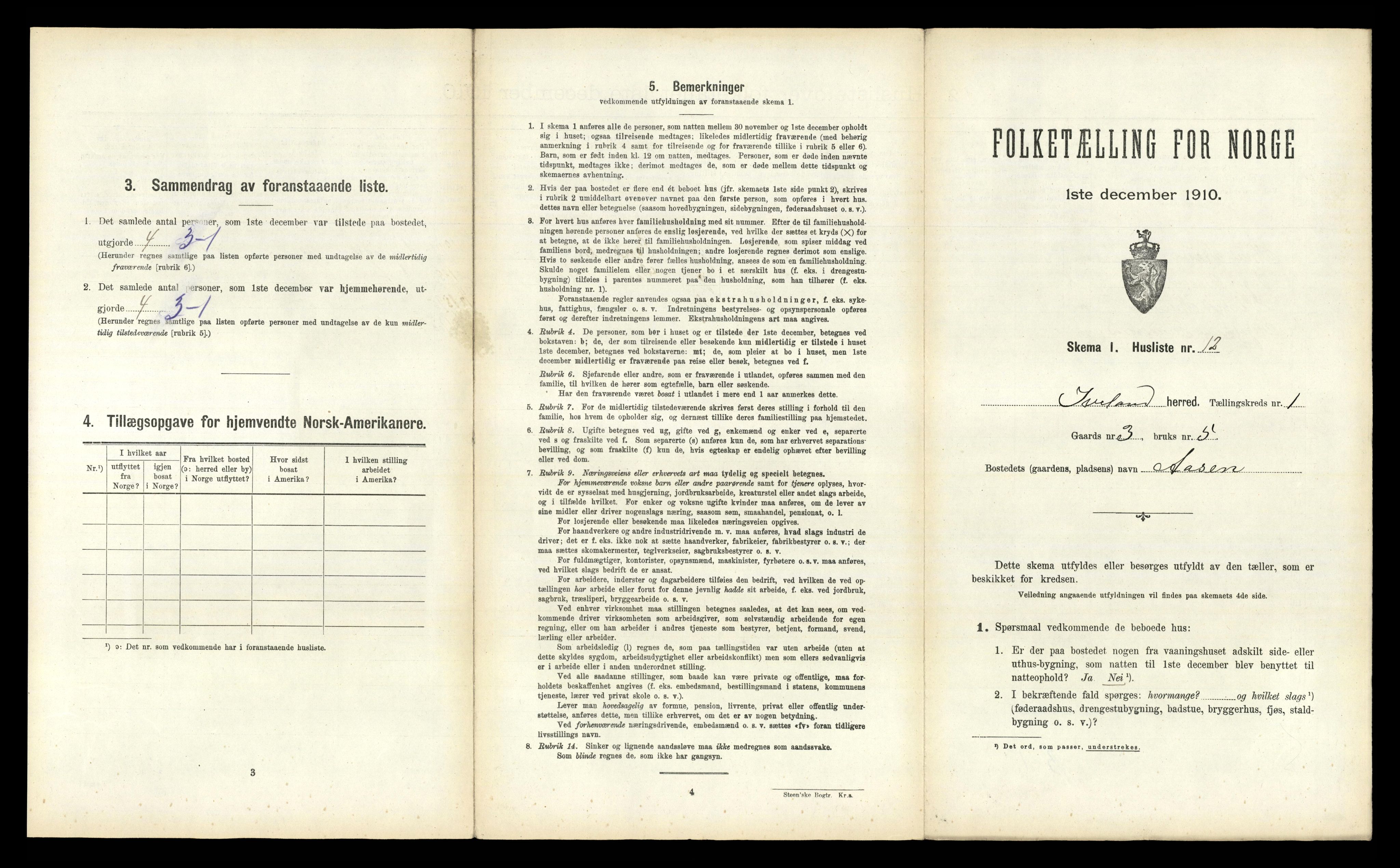 RA, 1910 census for Iveland, 1910, p. 55