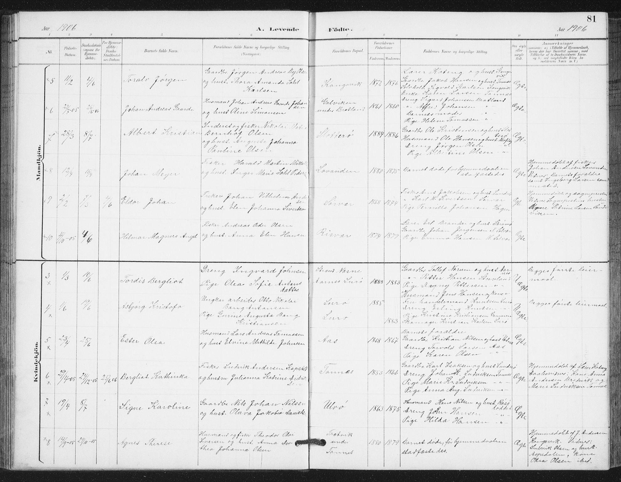 Ministerialprotokoller, klokkerbøker og fødselsregistre - Nordland, AV/SAT-A-1459/839/L0573: Parish register (copy) no. 839C03, 1892-1917, p. 81