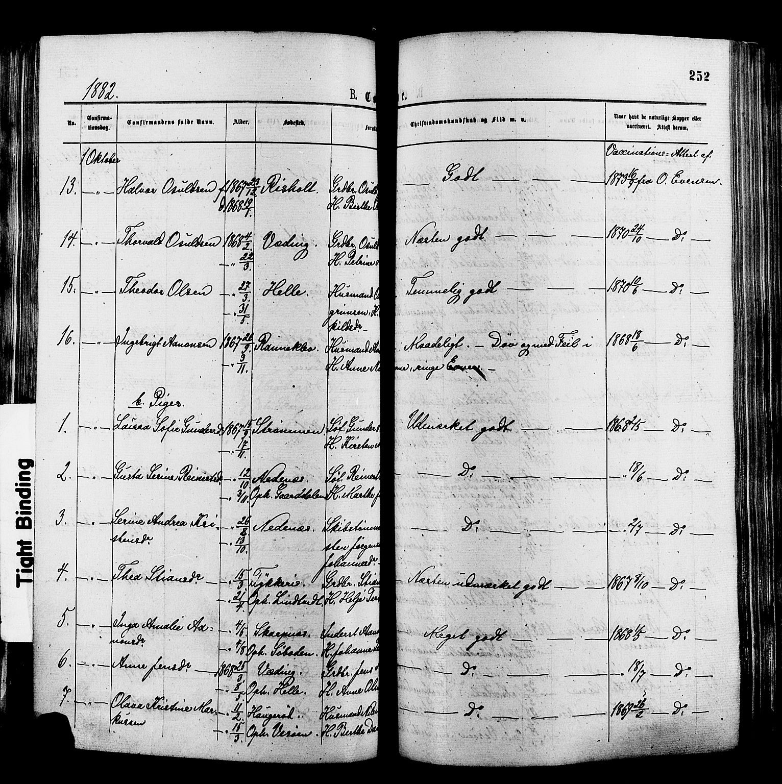 Øyestad sokneprestkontor, AV/SAK-1111-0049/F/Fa/L0016: Parish register (official) no. A 16, 1874-1886, p. 252