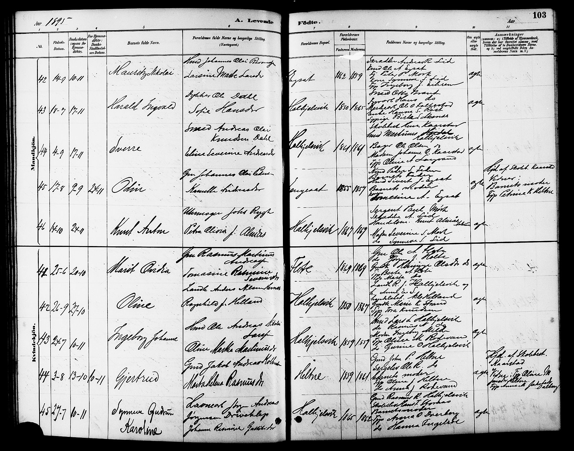 Ministerialprotokoller, klokkerbøker og fødselsregistre - Møre og Romsdal, AV/SAT-A-1454/511/L0158: Parish register (copy) no. 511C04, 1884-1903, p. 103