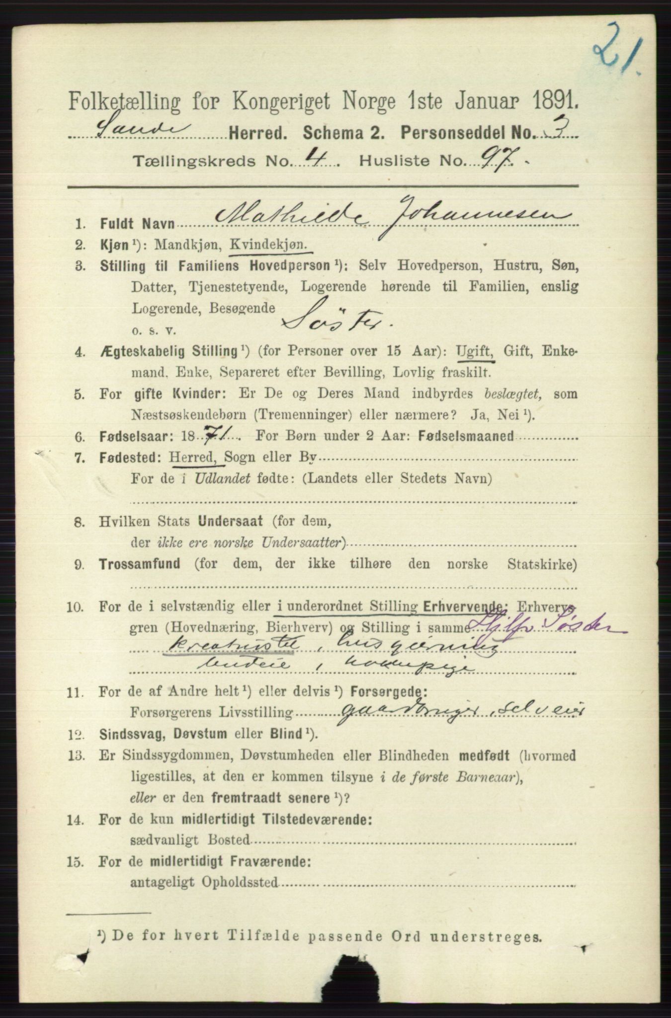 RA, 1891 census for 0713 Sande, 1891, p. 2055