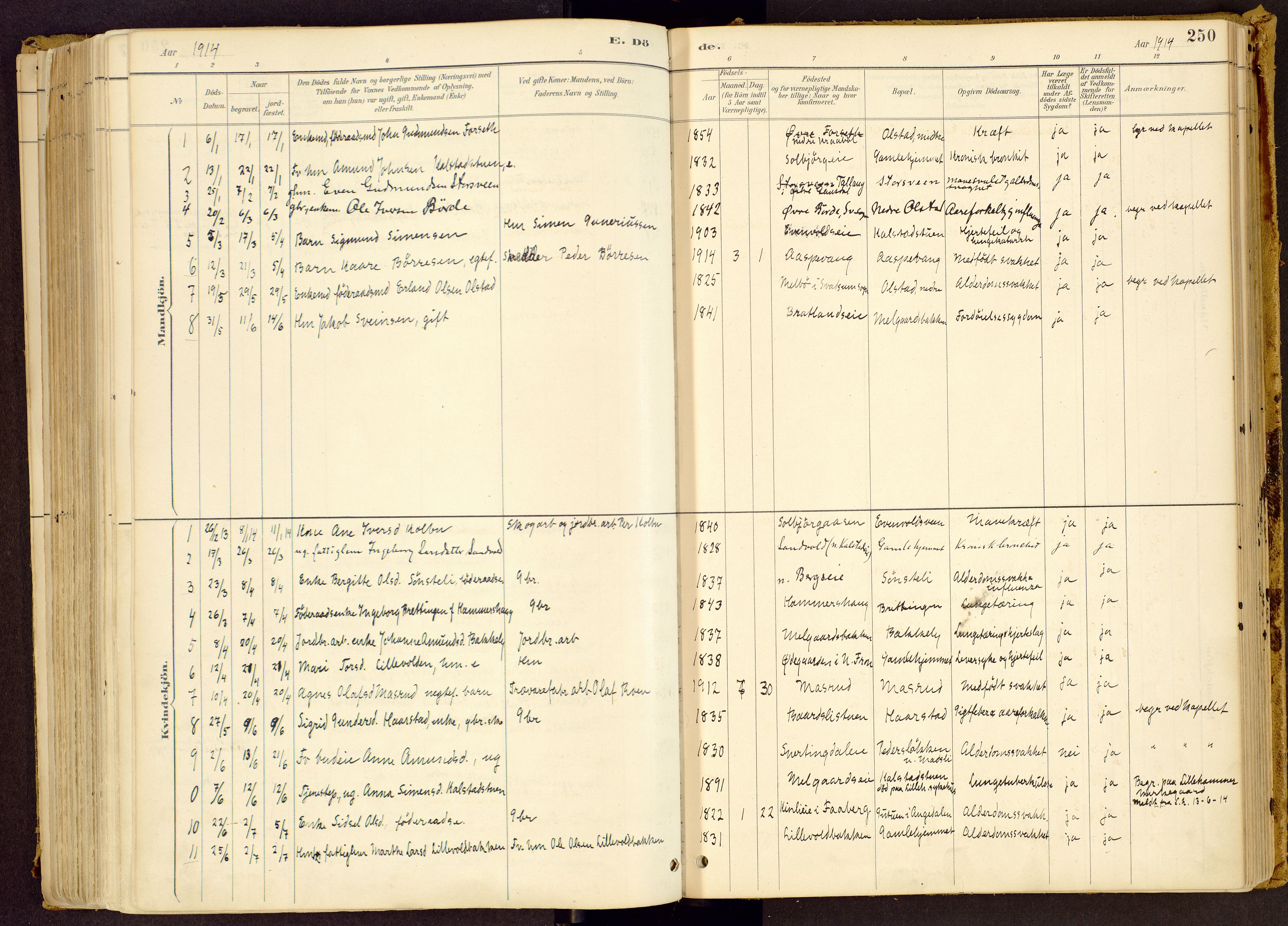 Vestre Gausdal prestekontor, SAH/PREST-094/H/Ha/Haa/L0001: Parish register (official) no. 1, 1887-1914, p. 250