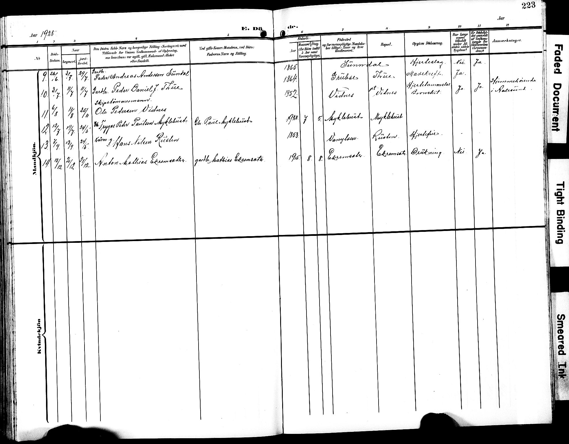 Ministerialprotokoller, klokkerbøker og fødselsregistre - Møre og Romsdal, AV/SAT-A-1454/501/L0018: Parish register (copy) no. 501C04, 1902-1930, p. 223