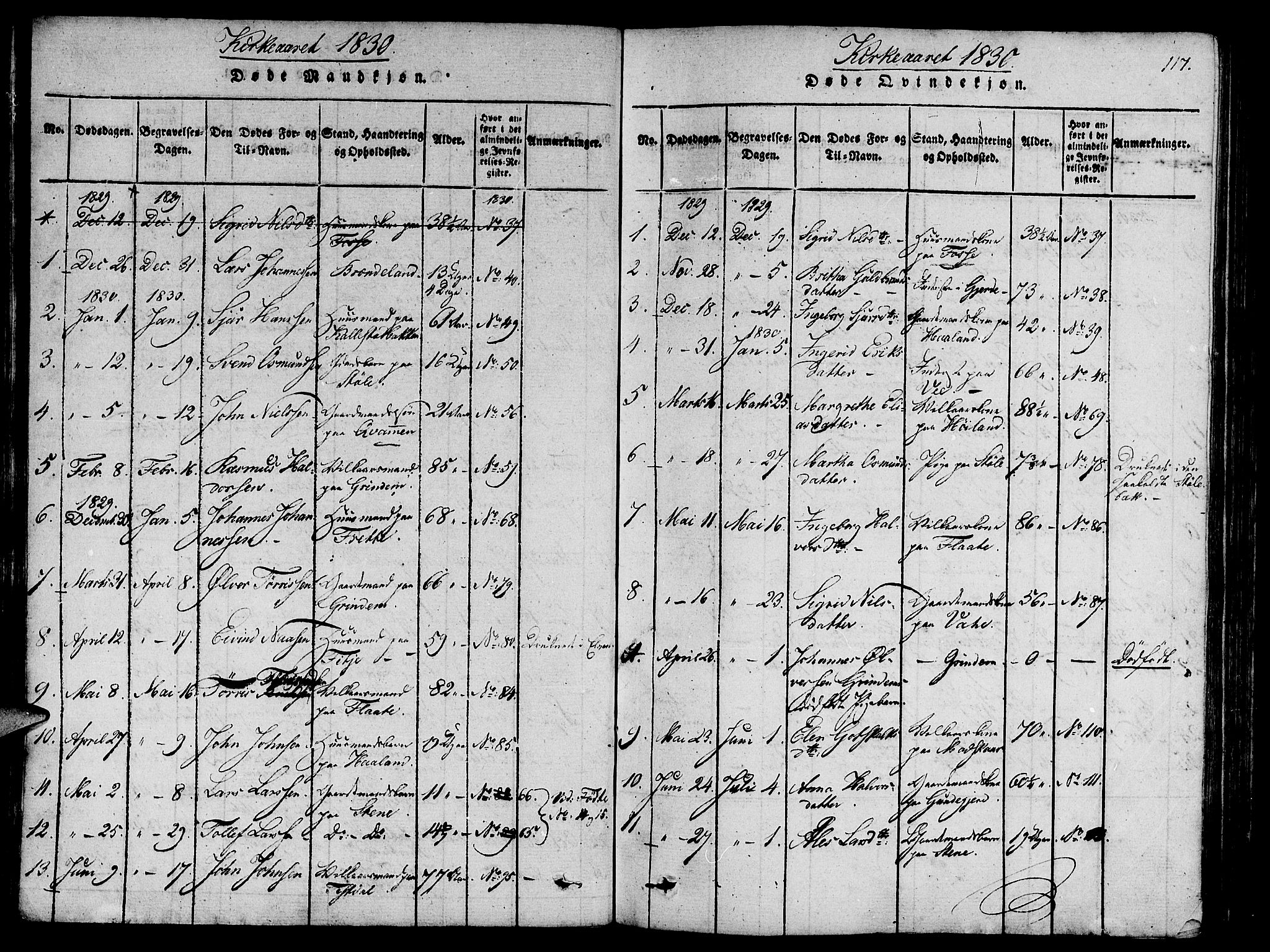 Etne sokneprestembete, SAB/A-75001/H/Haa: Parish register (official) no. A 6, 1815-1831, p. 117