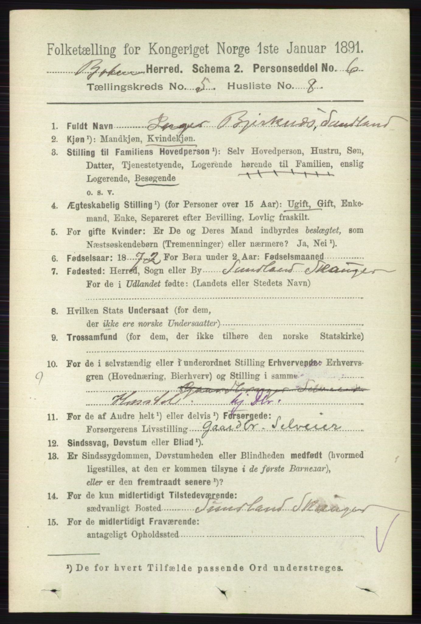 RA, 1891 census for 0715 Botne, 1891, p. 2000