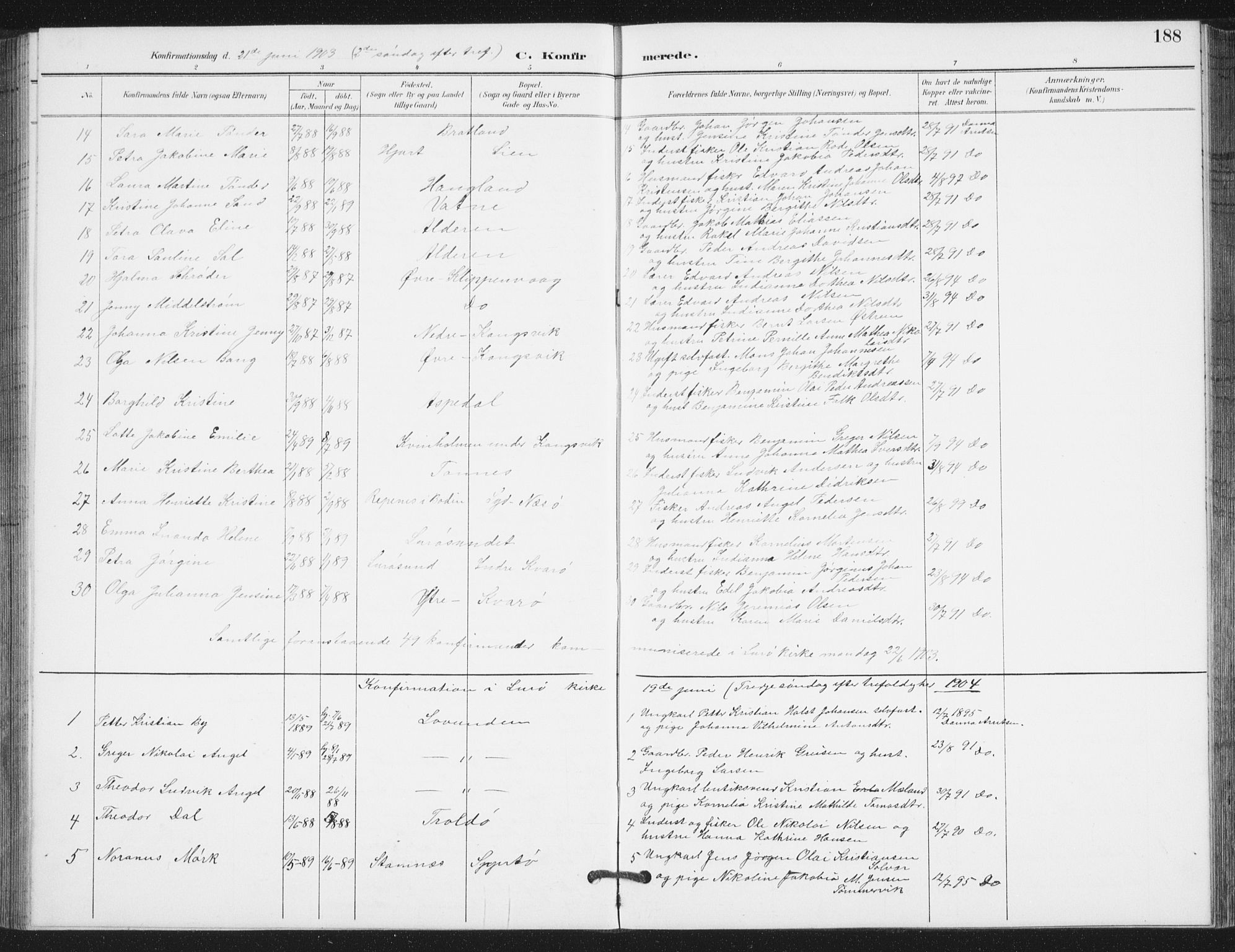 Ministerialprotokoller, klokkerbøker og fødselsregistre - Nordland, SAT/A-1459/839/L0573: Parish register (copy) no. 839C03, 1892-1917, p. 188