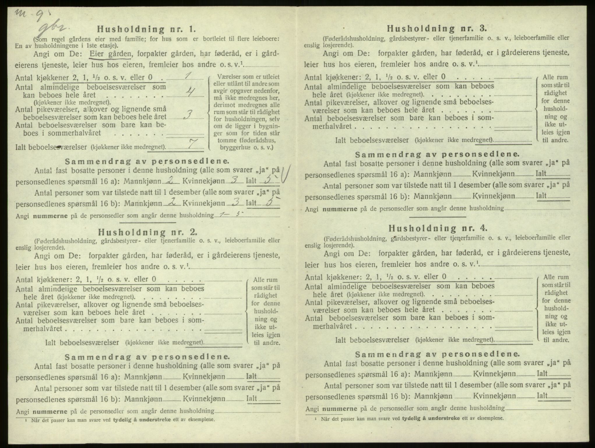 SAB, 1920 census for Hafslo, 1920, p. 164