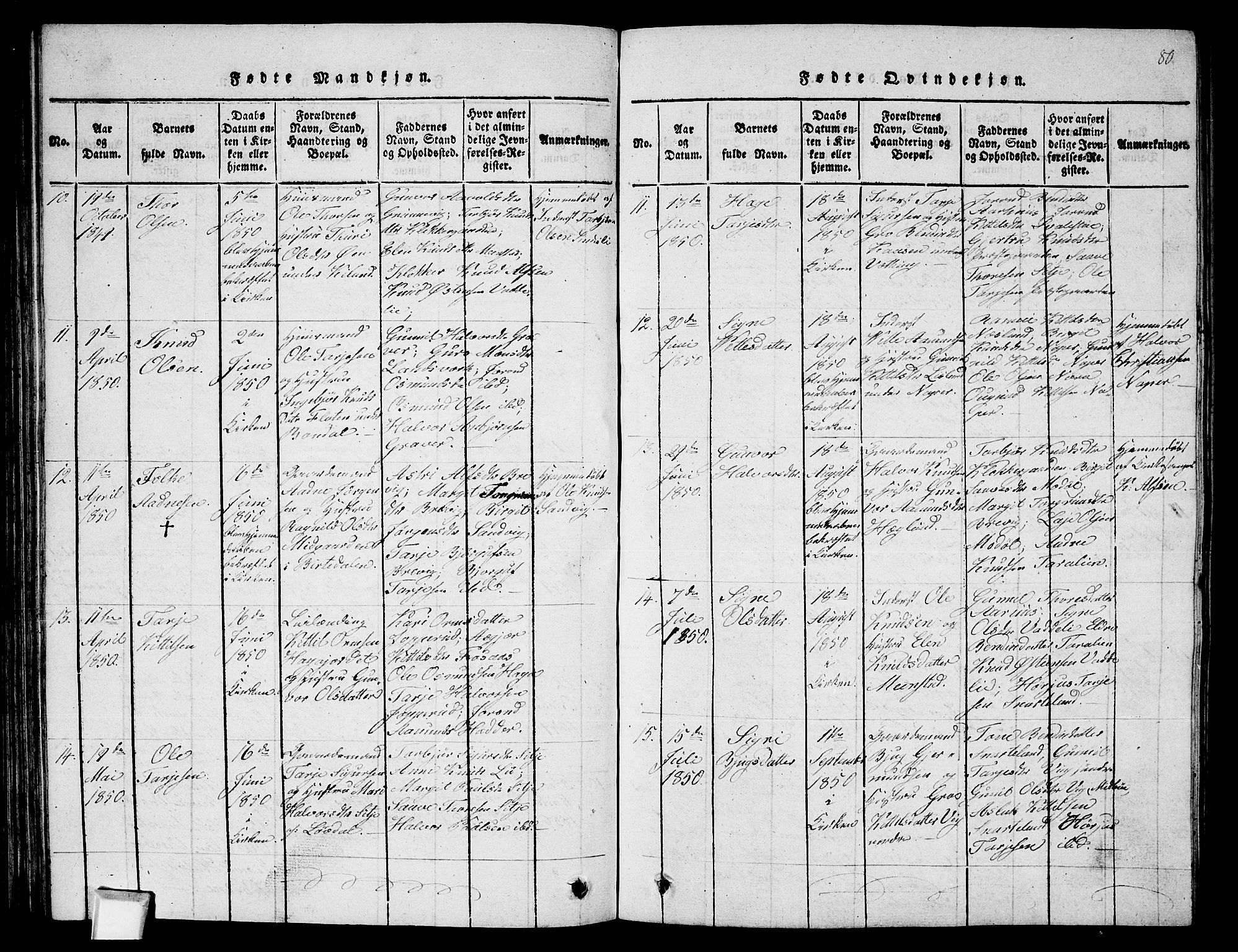 Fyresdal kirkebøker, SAKO/A-263/G/Ga/L0002: Parish register (copy) no. I 2, 1815-1857, p. 80