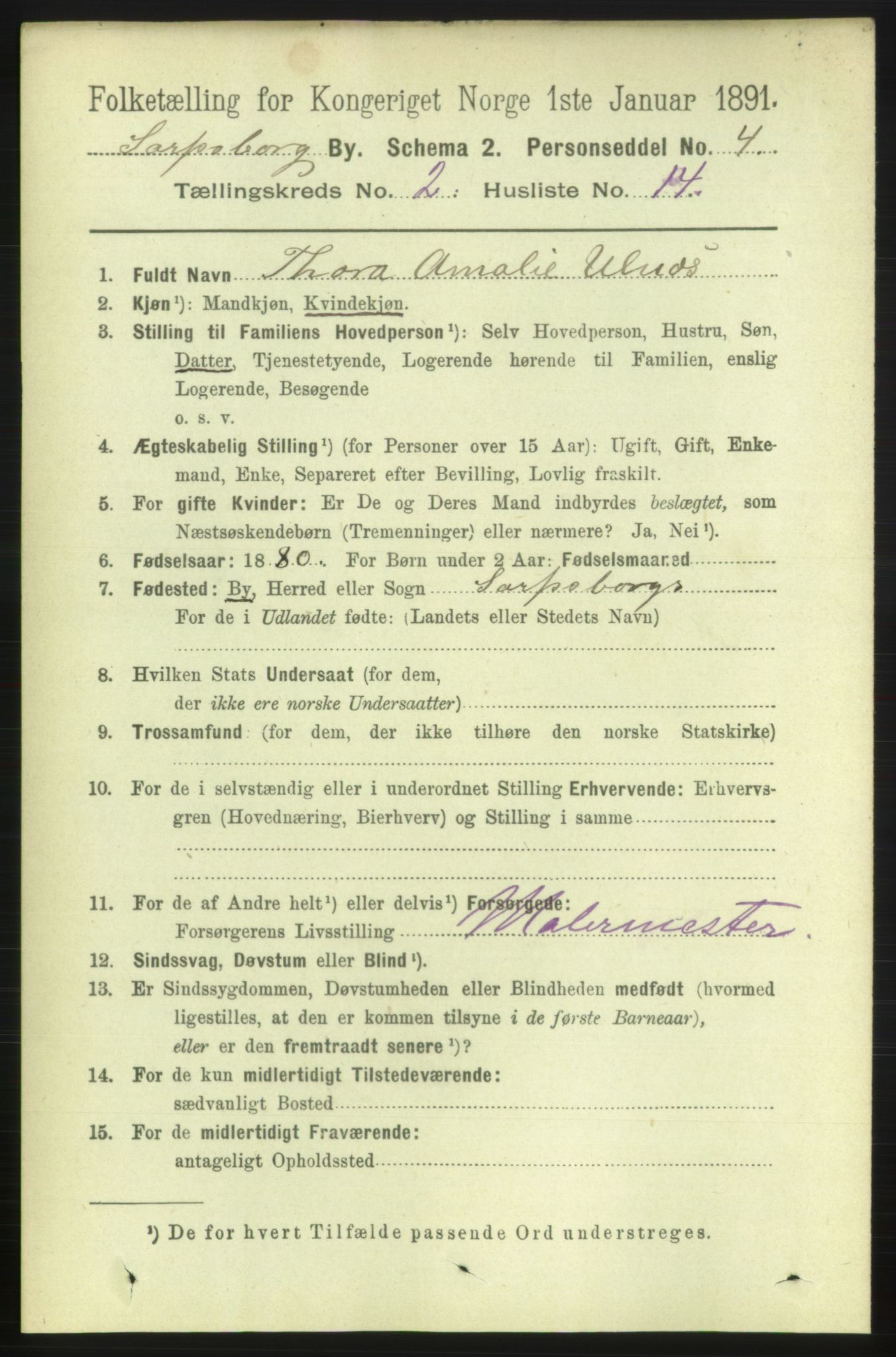 RA, 1891 census for 0102 Sarpsborg, 1891, p. 1376