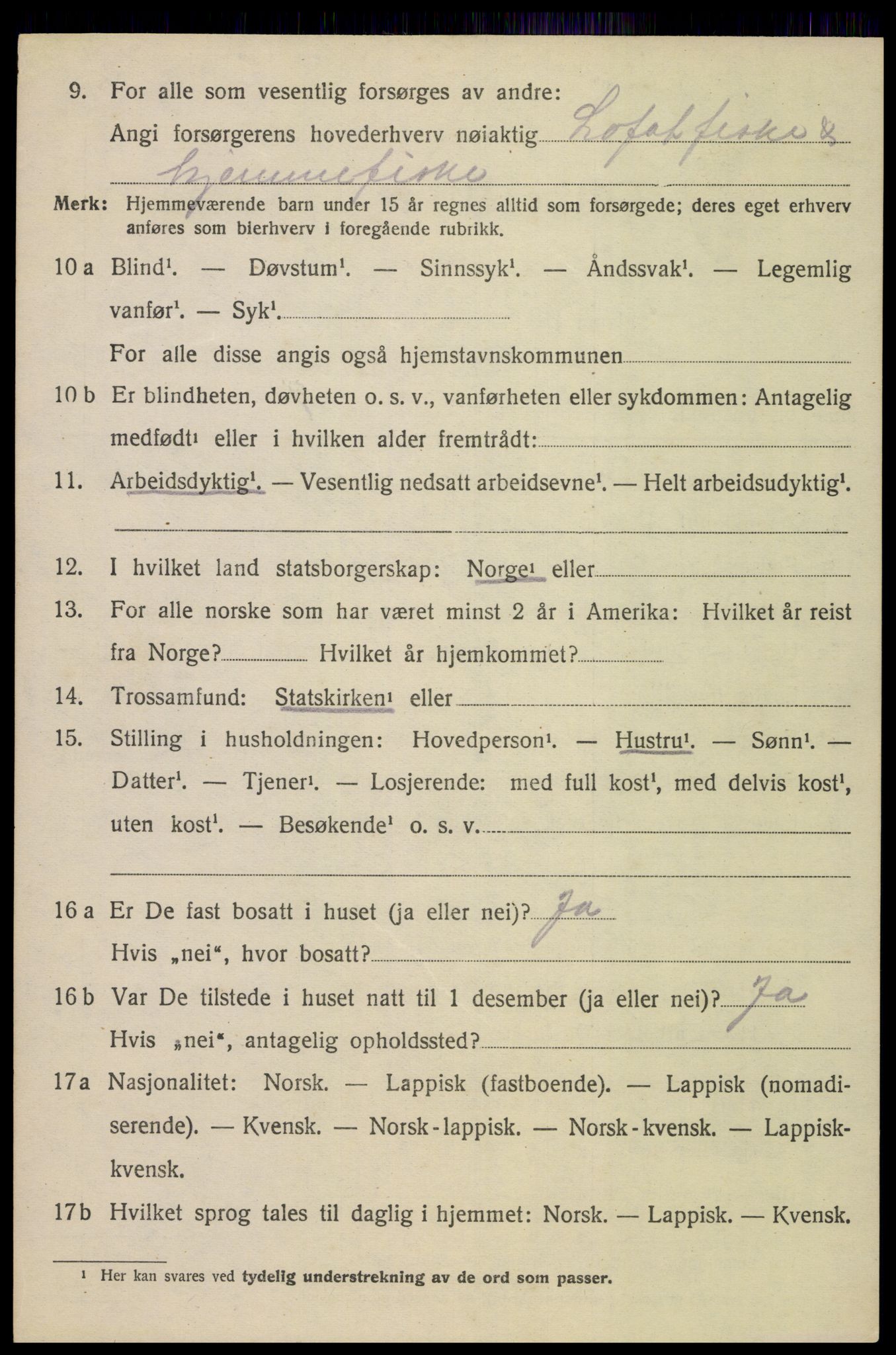 SAT, 1920 census for Bø, 1920, p. 6039