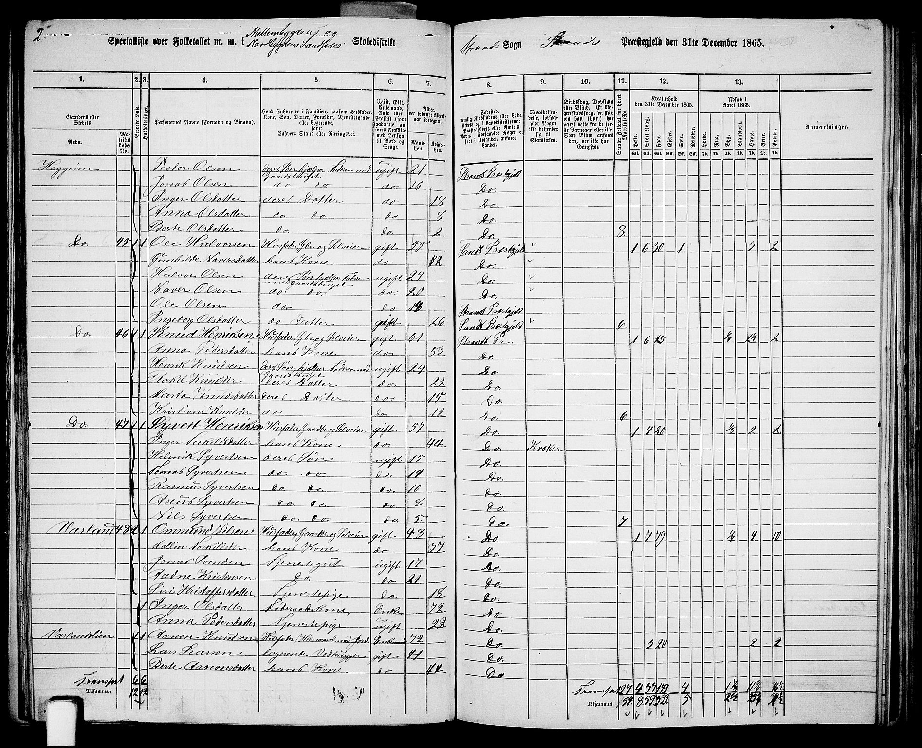 RA, 1865 census for Strand, 1865, p. 24