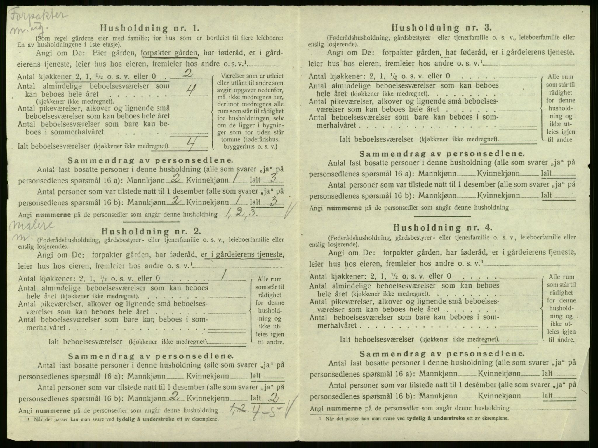 SAKO, 1920 census for Andebu, 1920, p. 1036