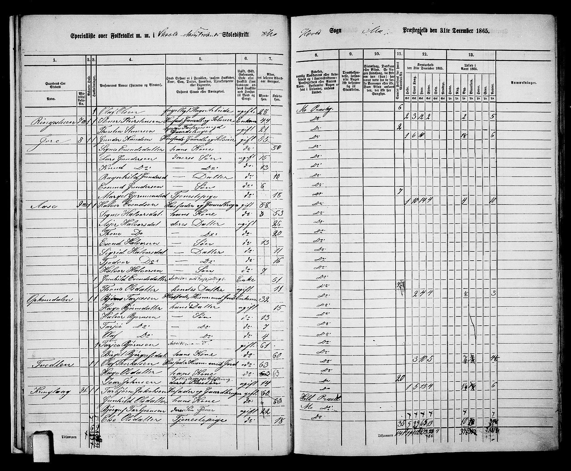 RA, 1865 census for Mo, 1865, p. 15