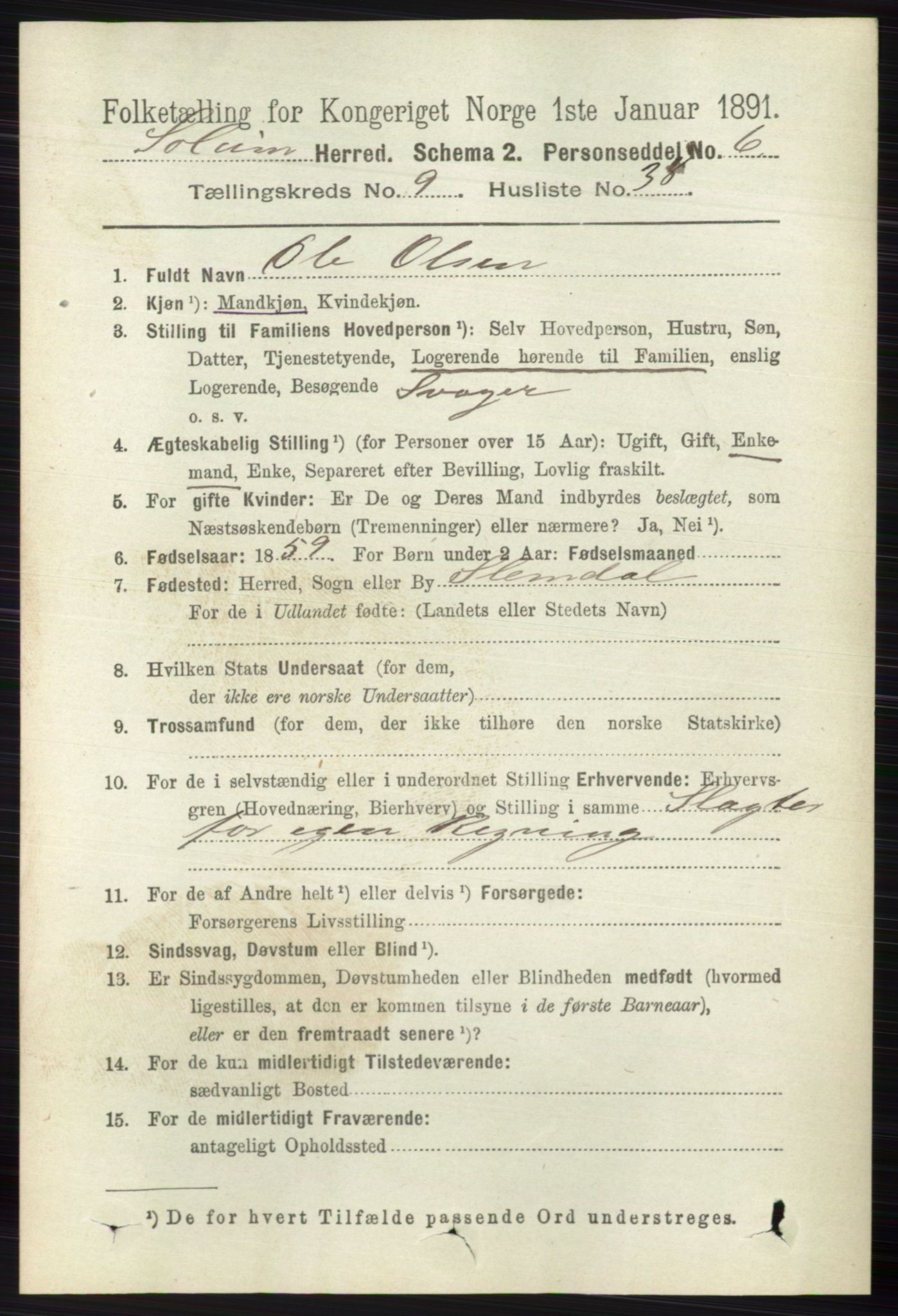 RA, 1891 census for 0818 Solum, 1891, p. 2175