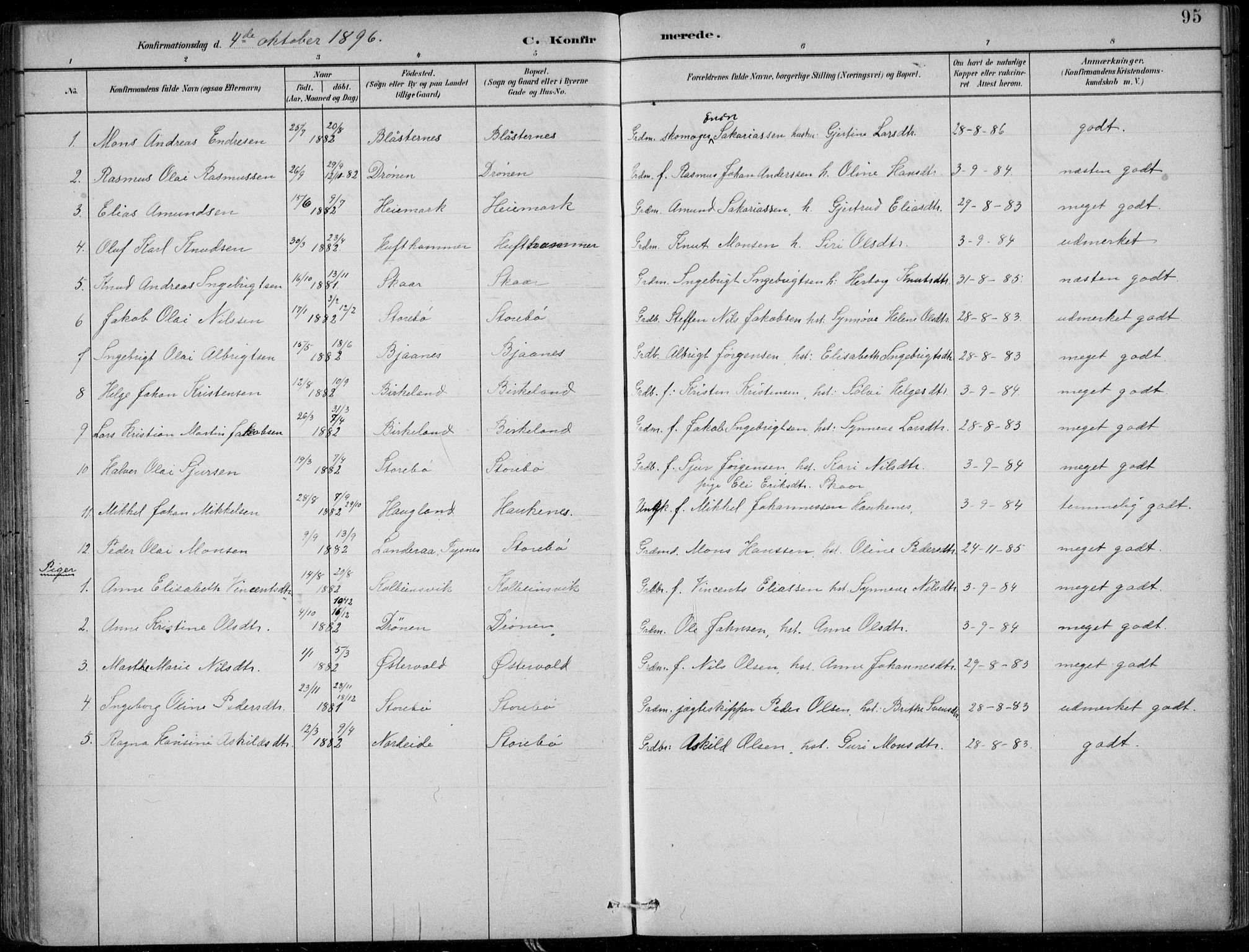Sund sokneprestembete, SAB/A-99930: Parish register (official) no. C  1, 1882-1899, p. 95