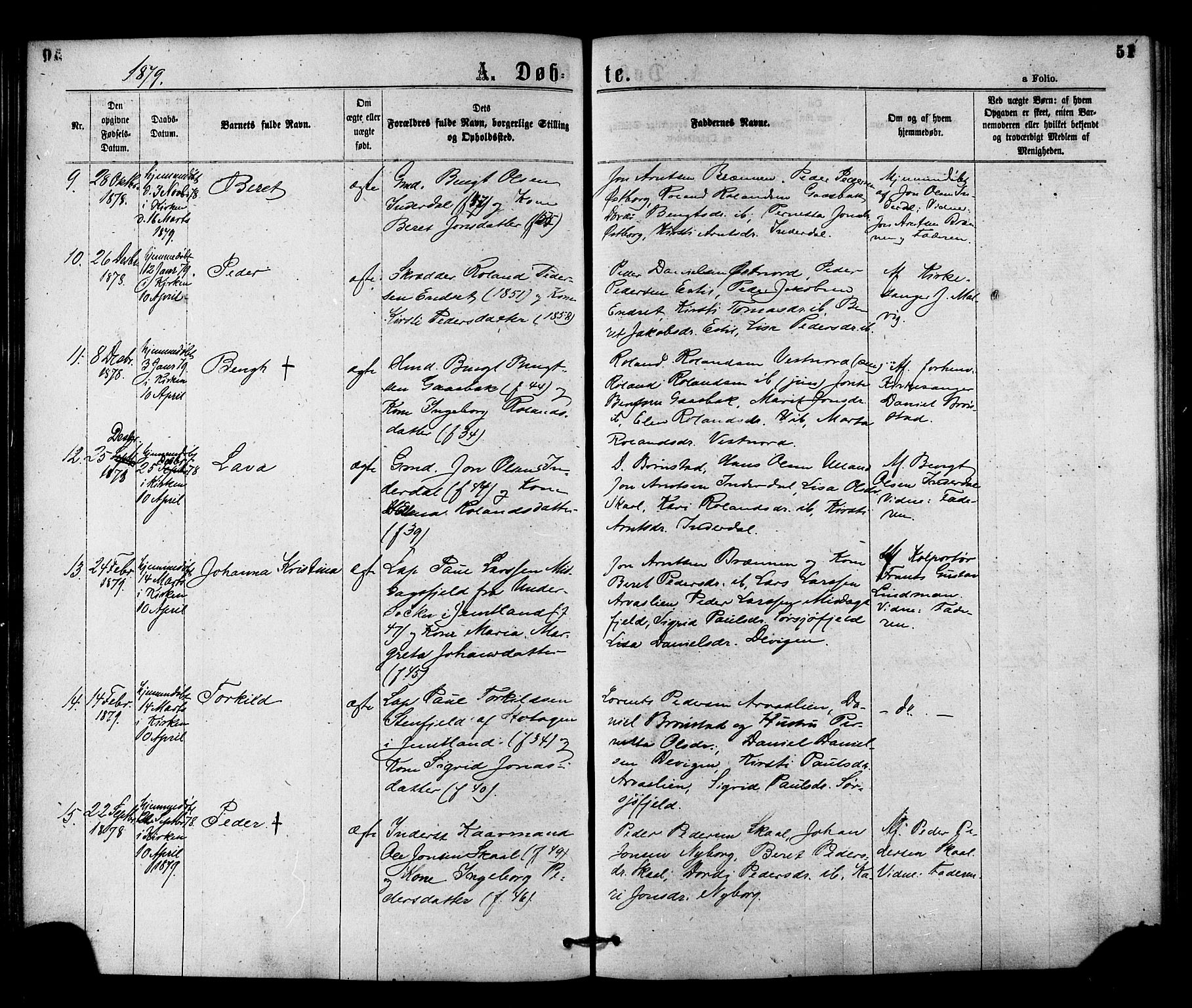 Ministerialprotokoller, klokkerbøker og fødselsregistre - Nord-Trøndelag, SAT/A-1458/755/L0493: Parish register (official) no. 755A02, 1865-1881, p. 51