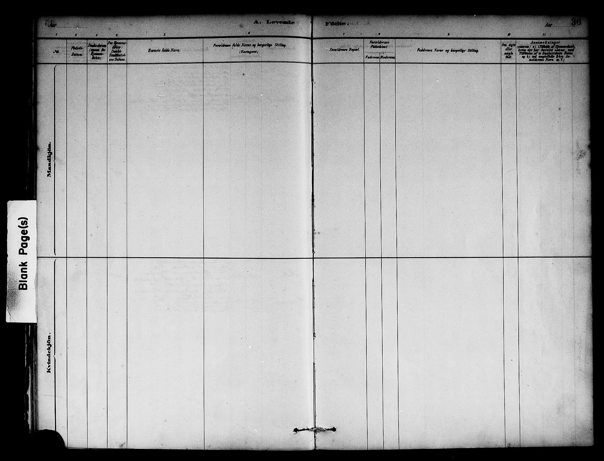 Solund sokneprestembete, SAB/A-81401: Parish register (official) no. A 1, 1881-1902, p. 36