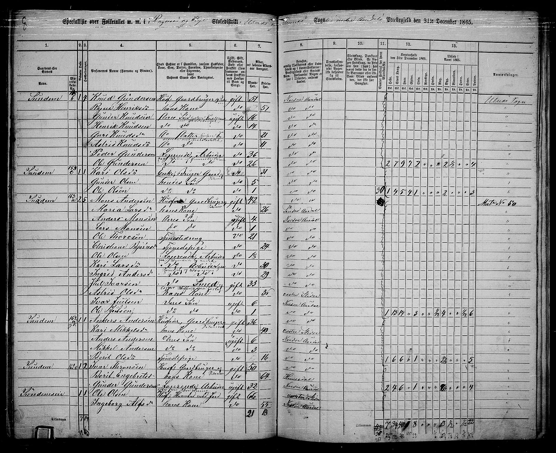 RA, 1865 census for Nord-Aurdal, 1865, p. 139