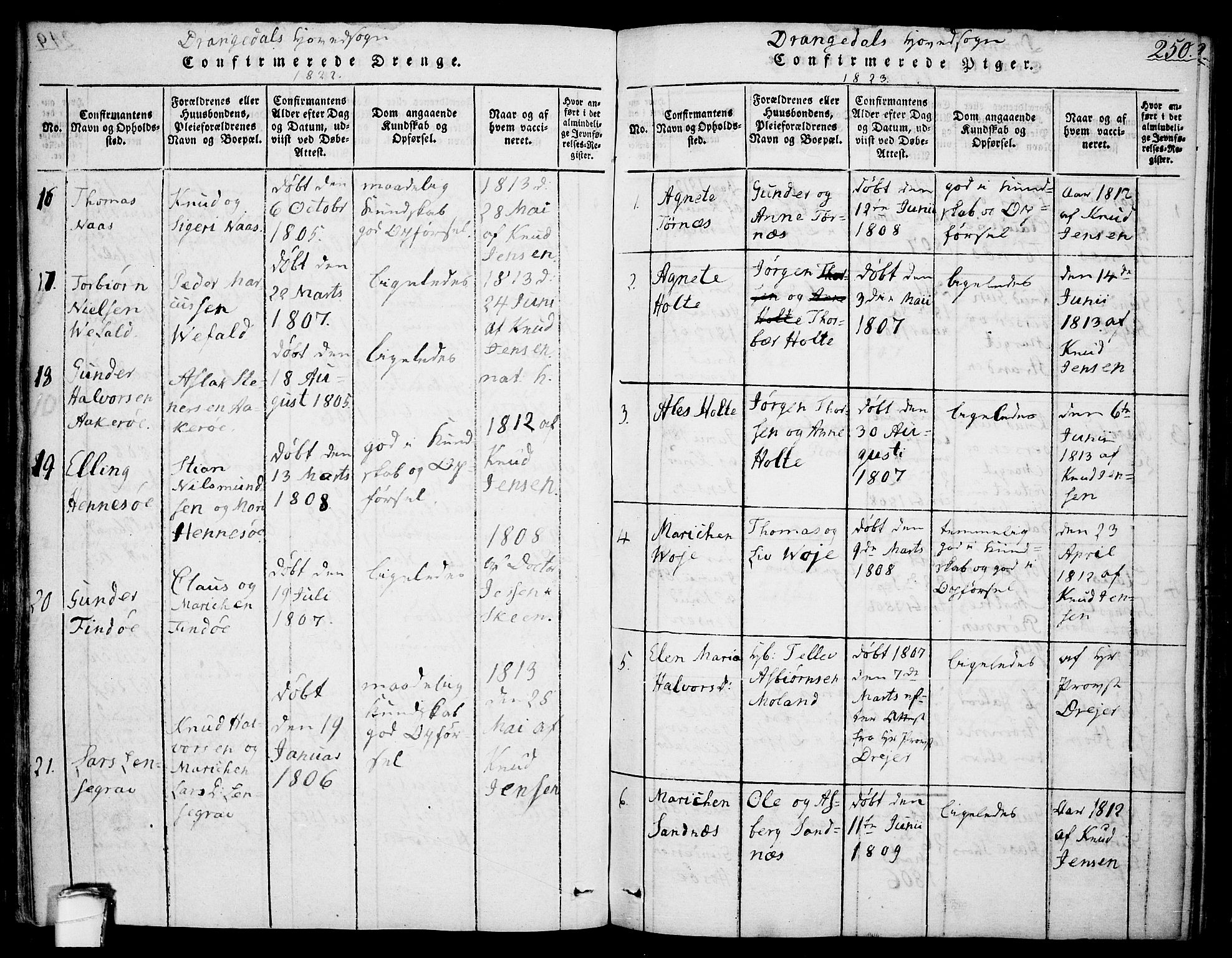 Drangedal kirkebøker, SAKO/A-258/F/Fa/L0005: Parish register (official) no. 5 /1, 1814-1831, p. 250